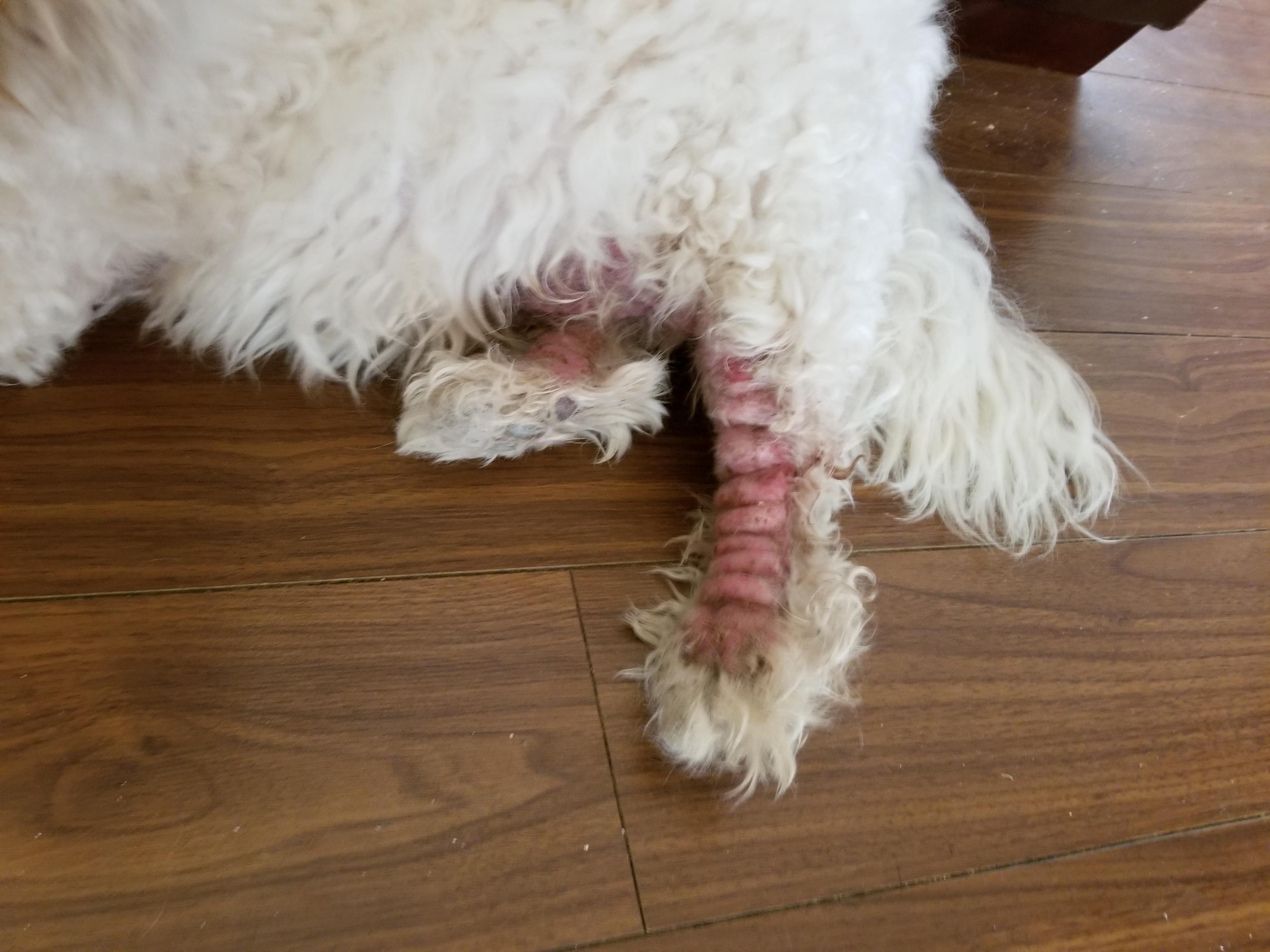 Question details sensitive content