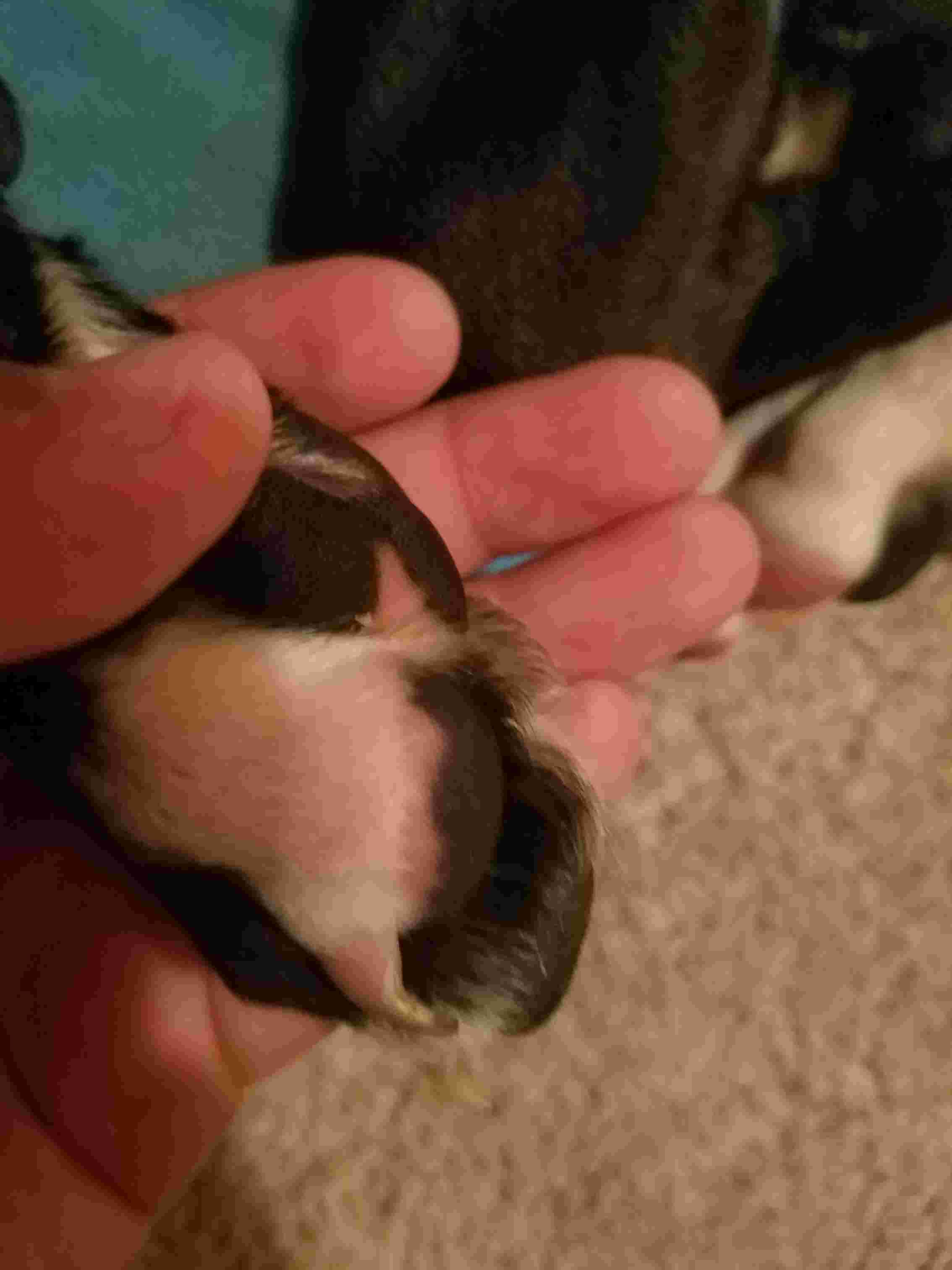 Question details sensitive content