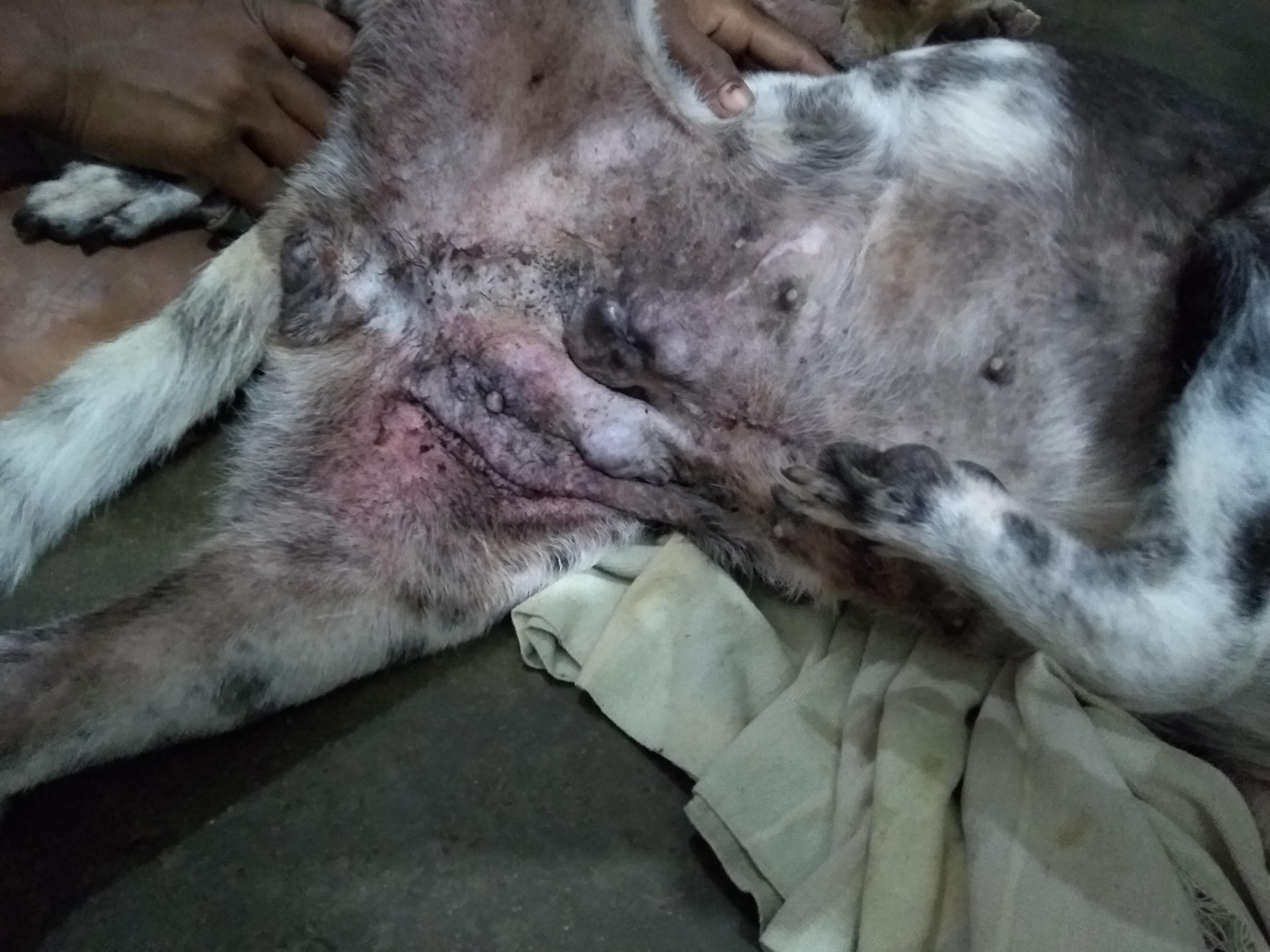 Question details sensitive content