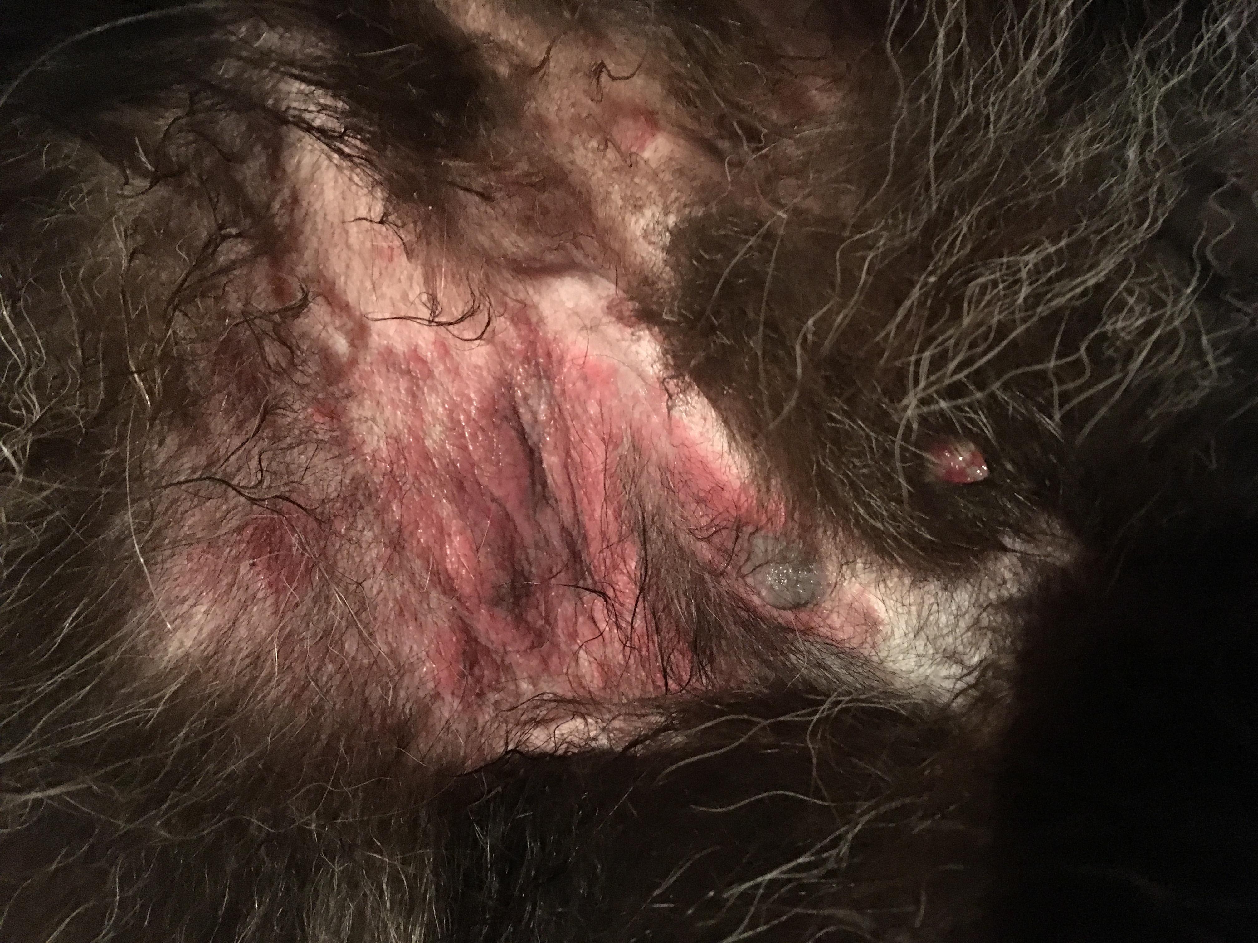 Question details sensitive content