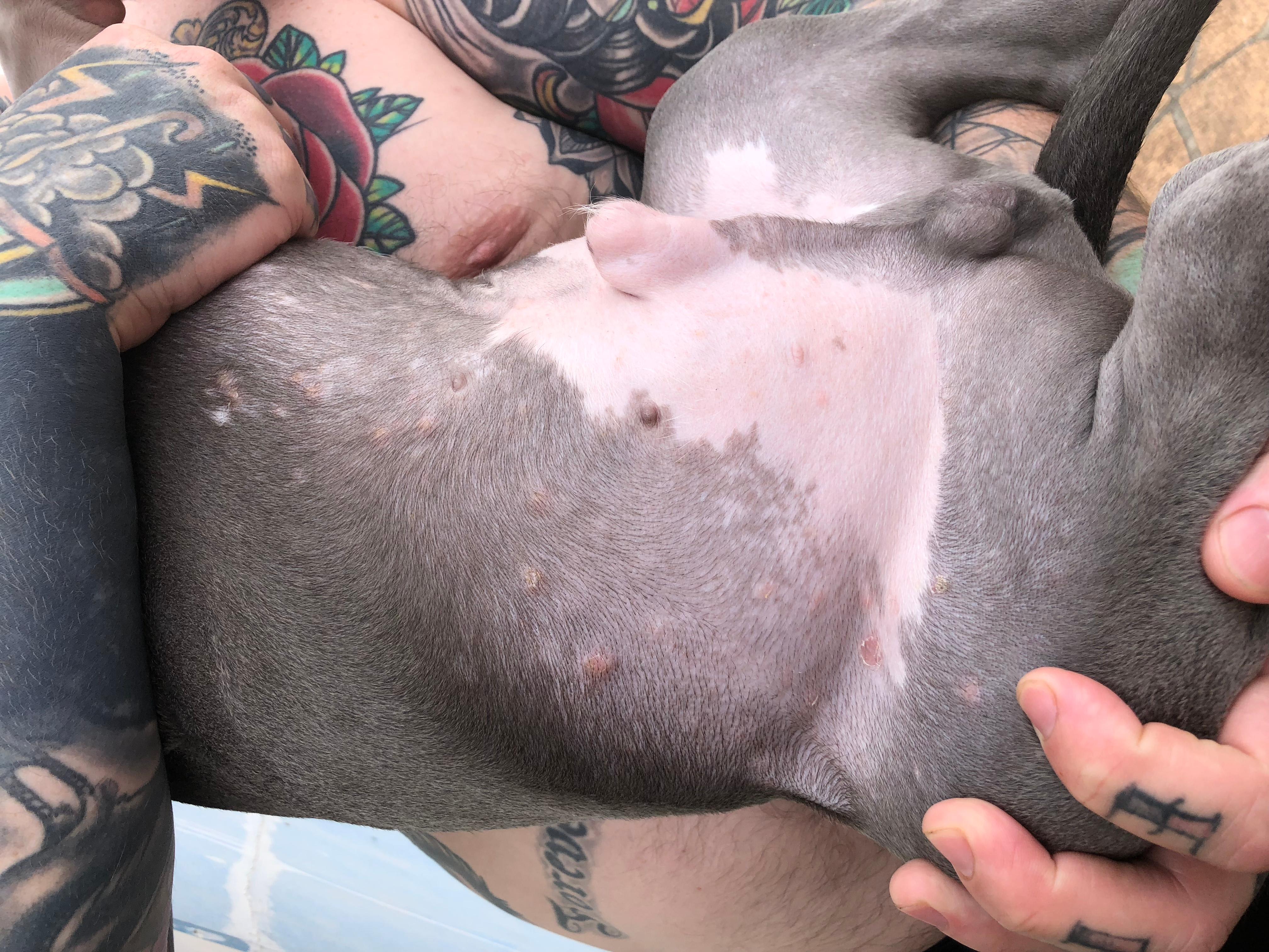 Question details sensitive content