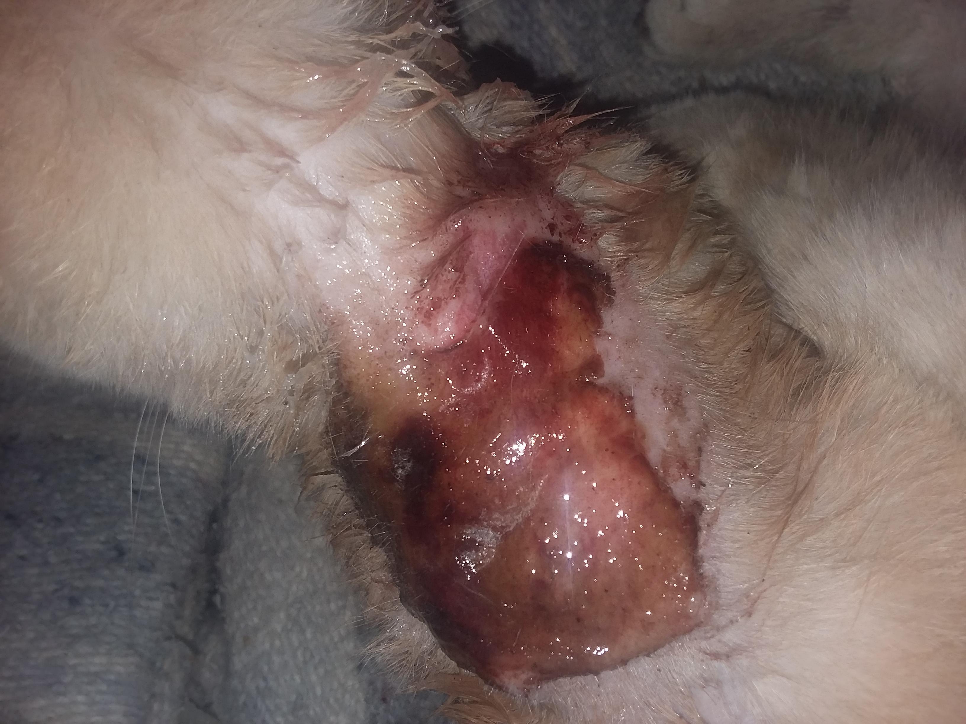 Question details sensitive content