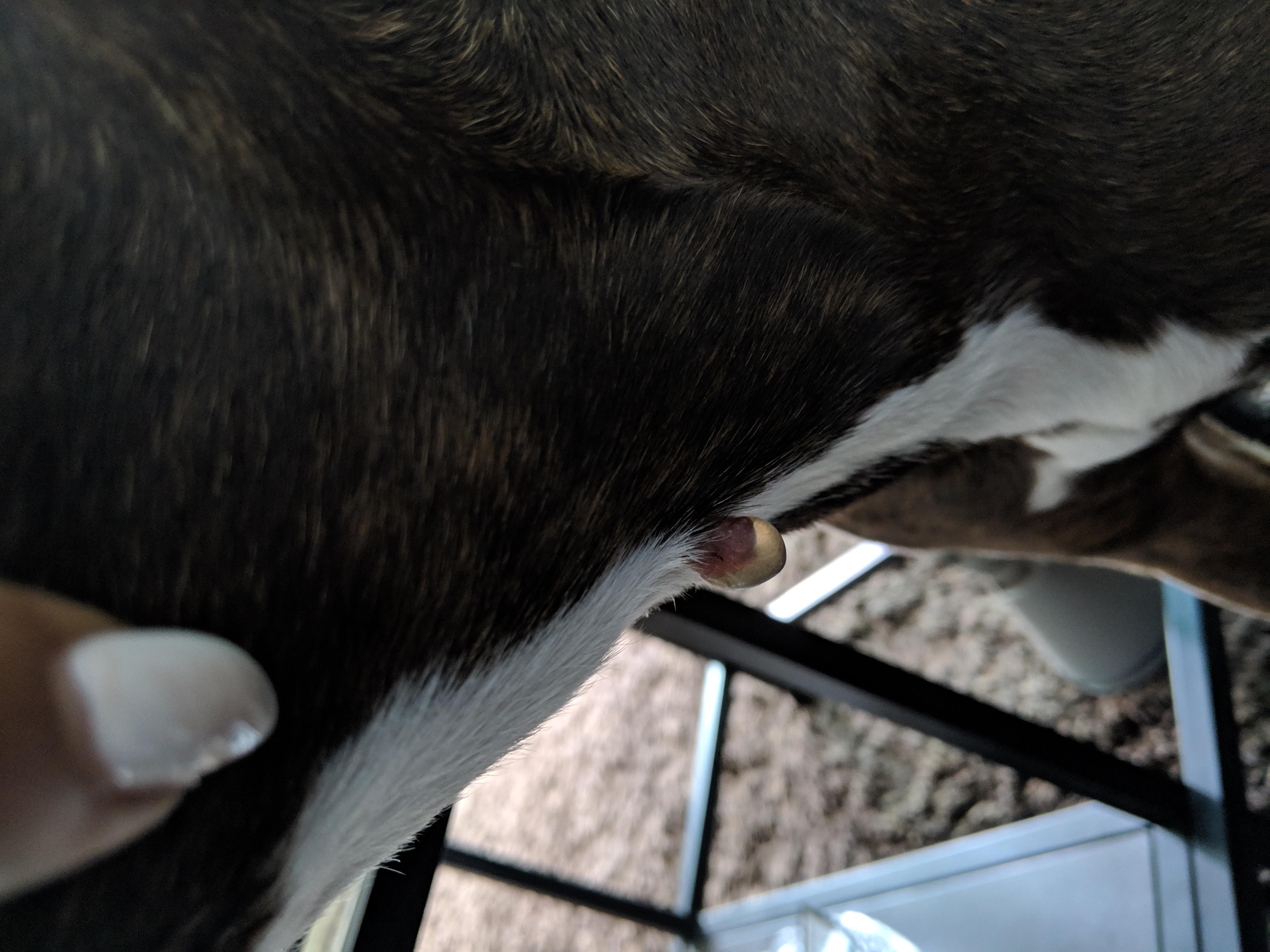 Question details sensitive content