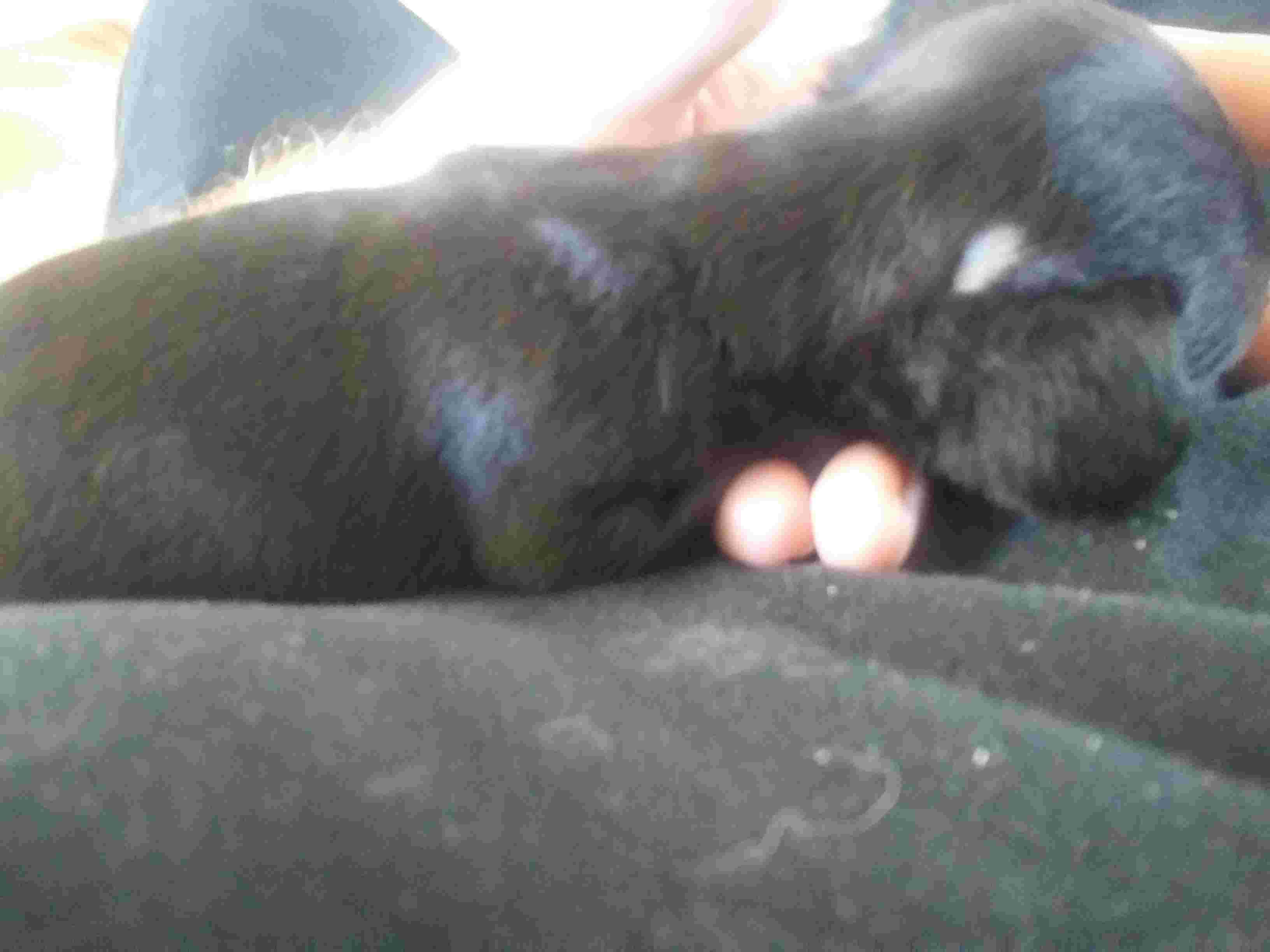 Question details sensitive content