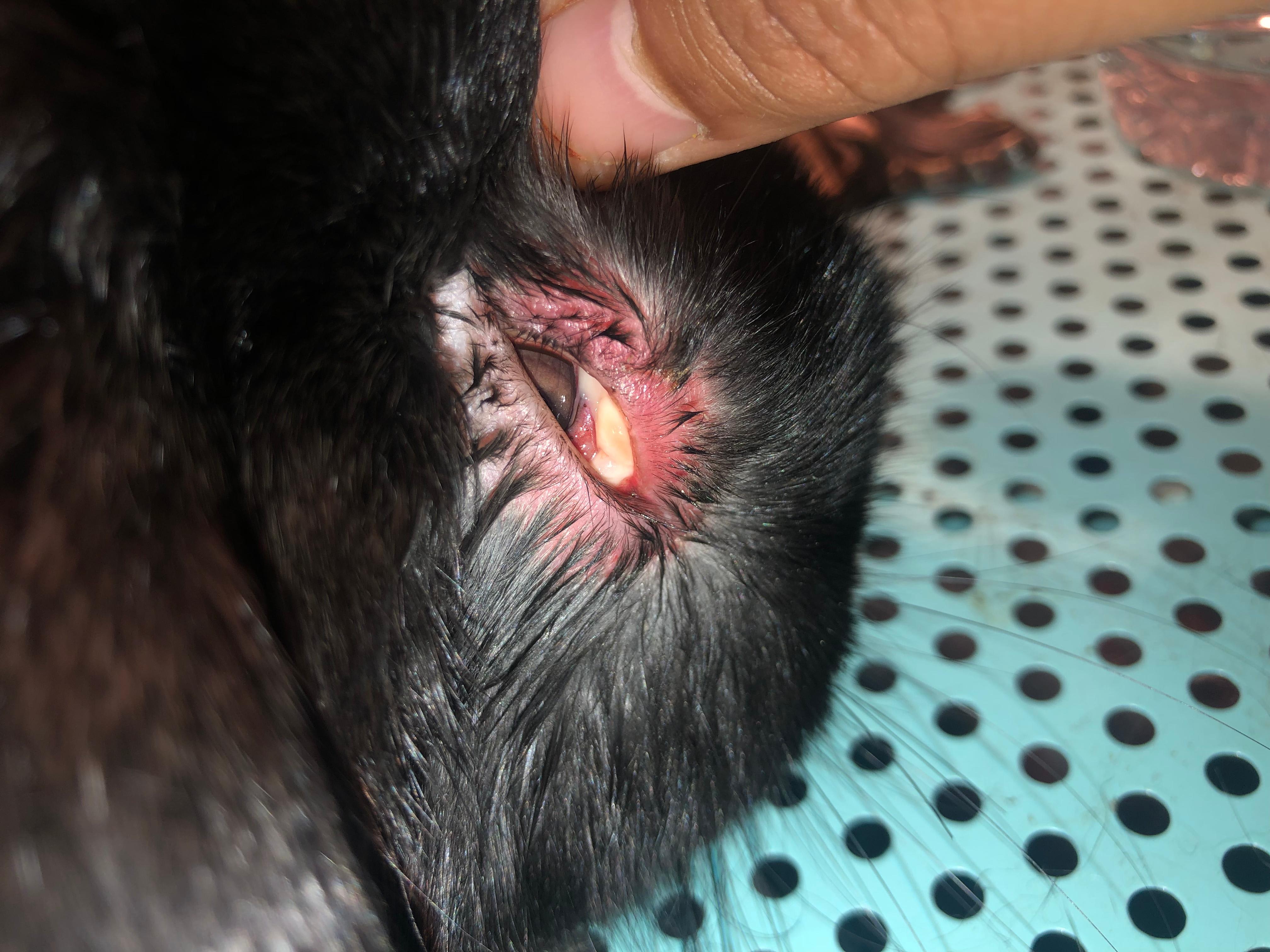 Question details sensitive content