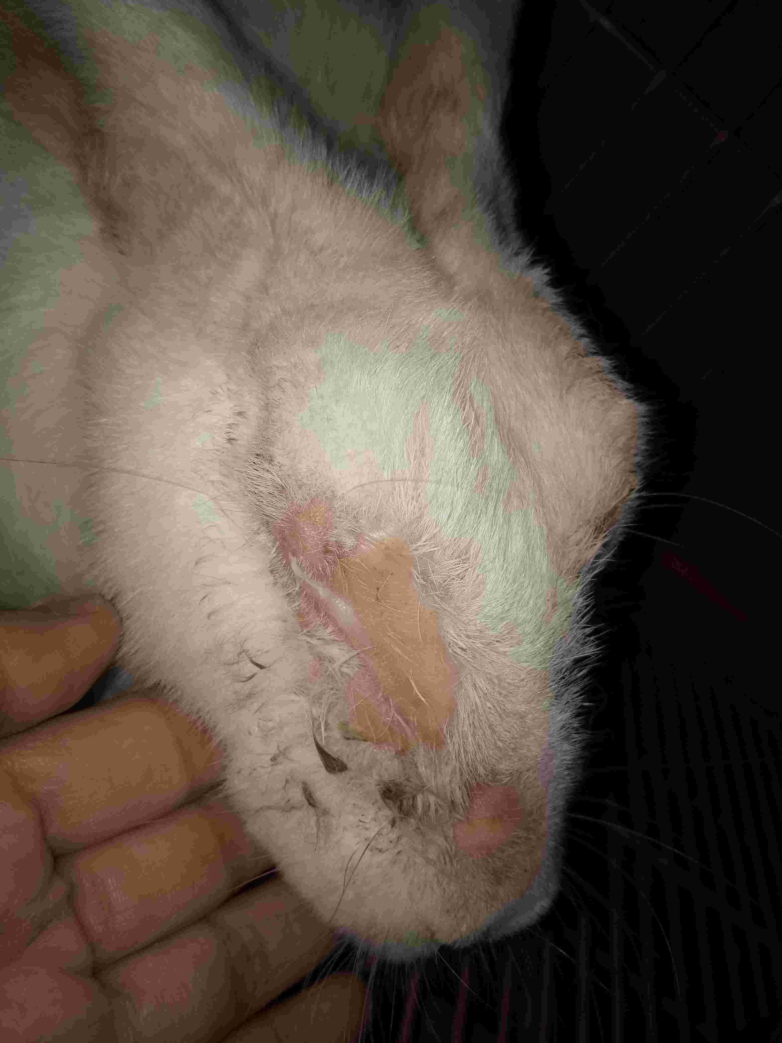 Question details sensitive content