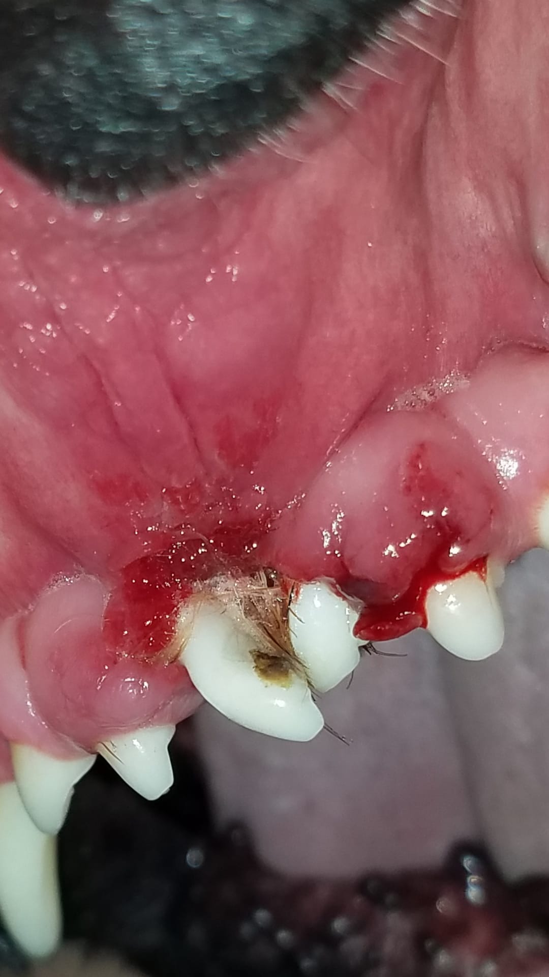 Question details sensitive content