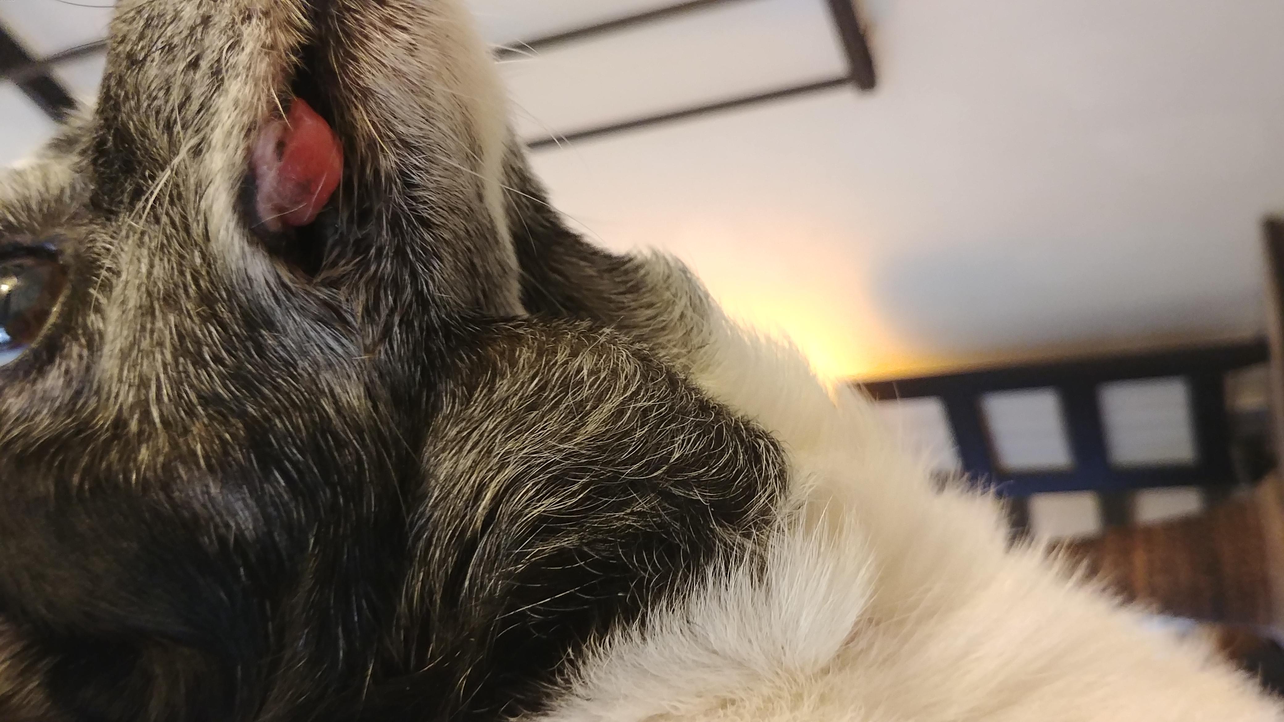 Question details sensitive content