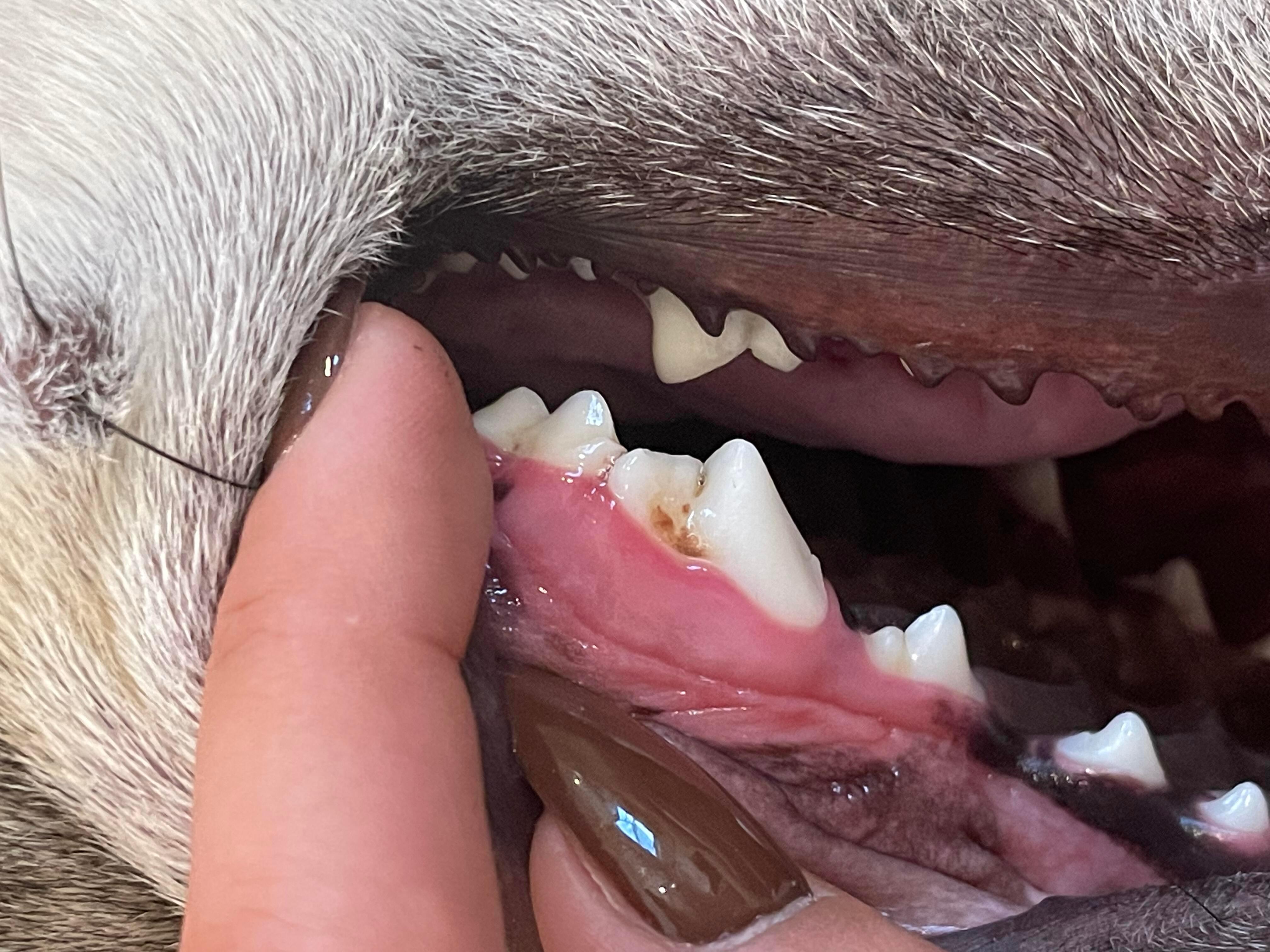 Question details sensitive content