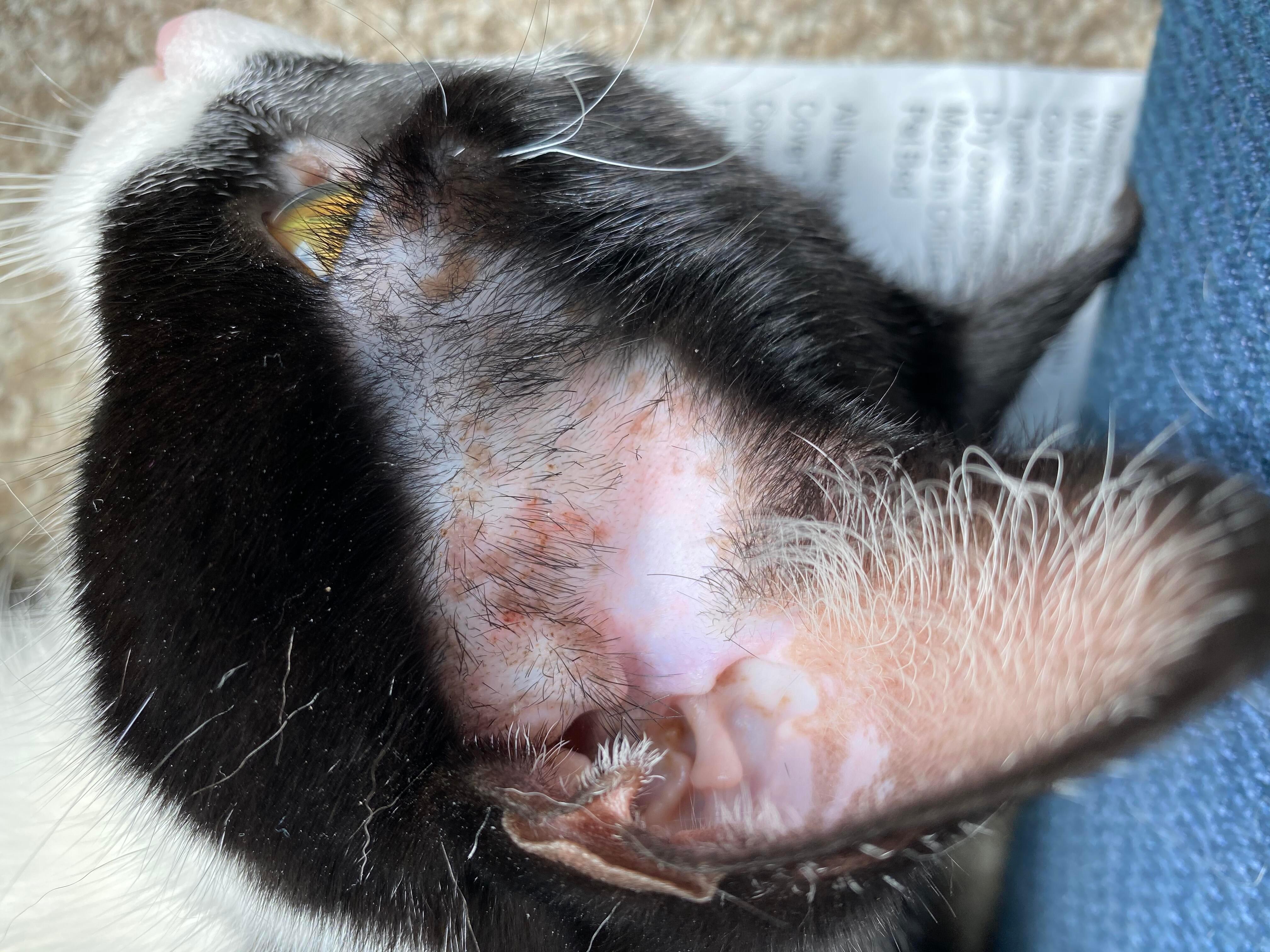 Question details sensitive content