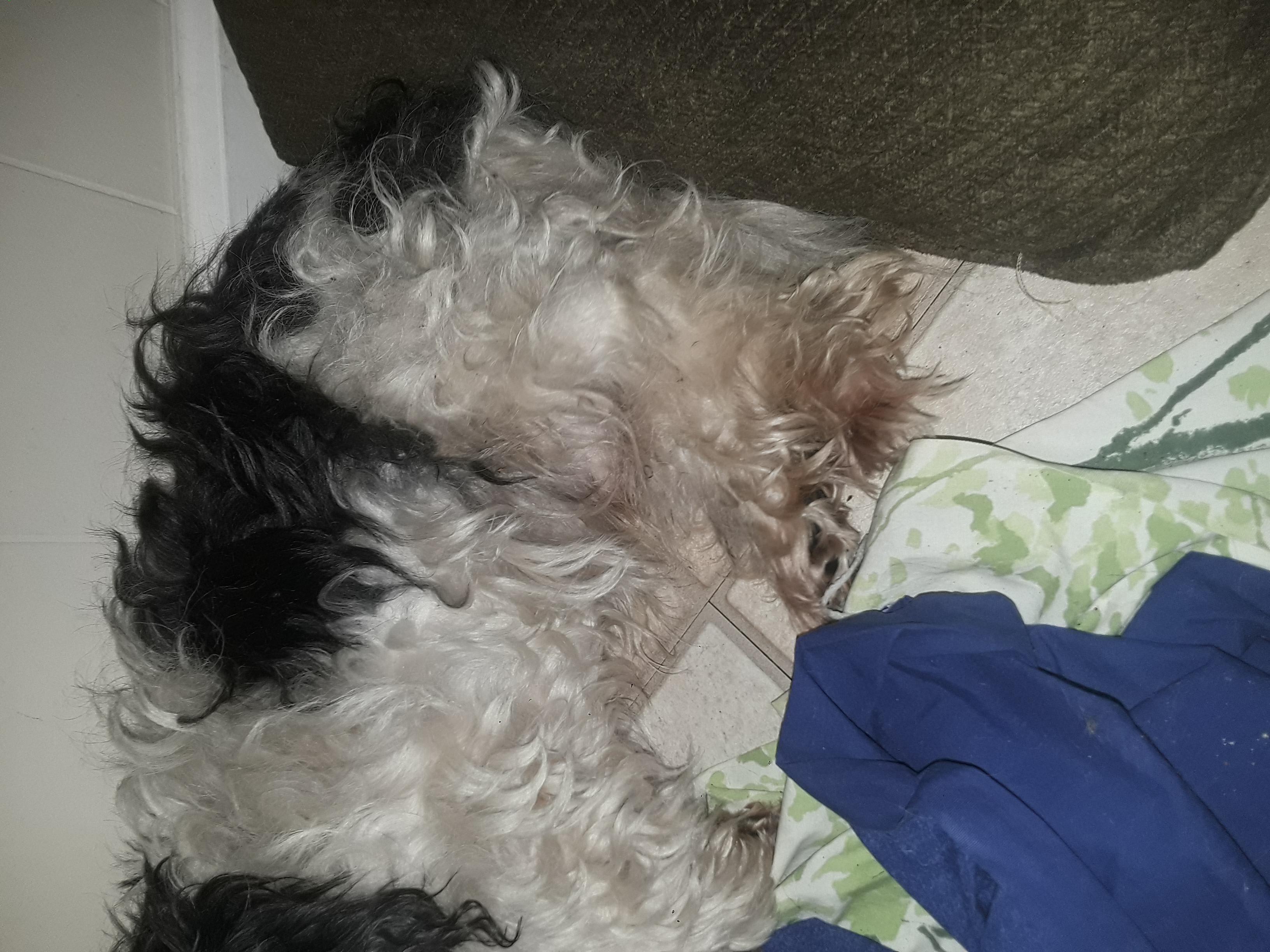 Question details sensitive content