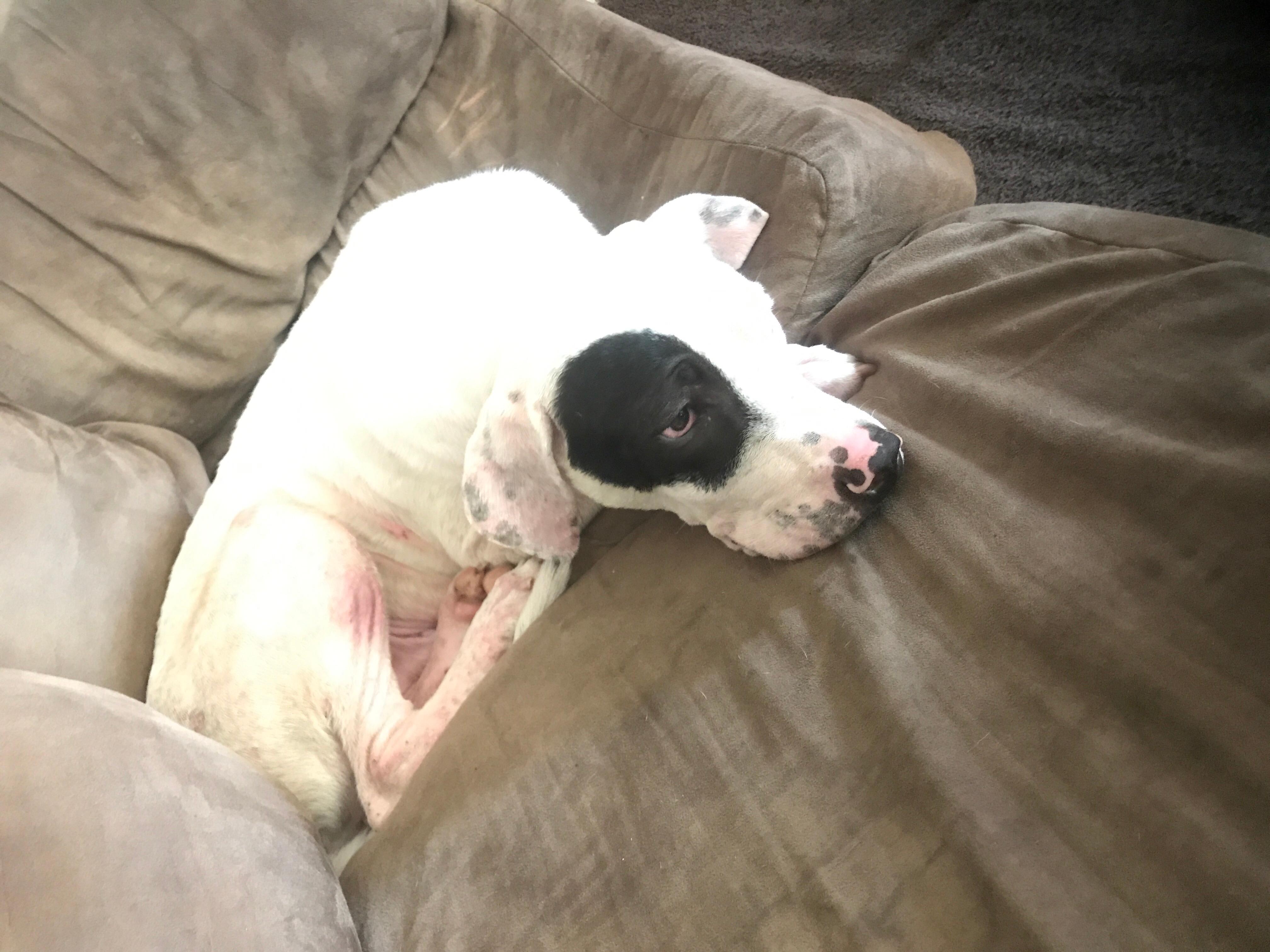 Question details sensitive content