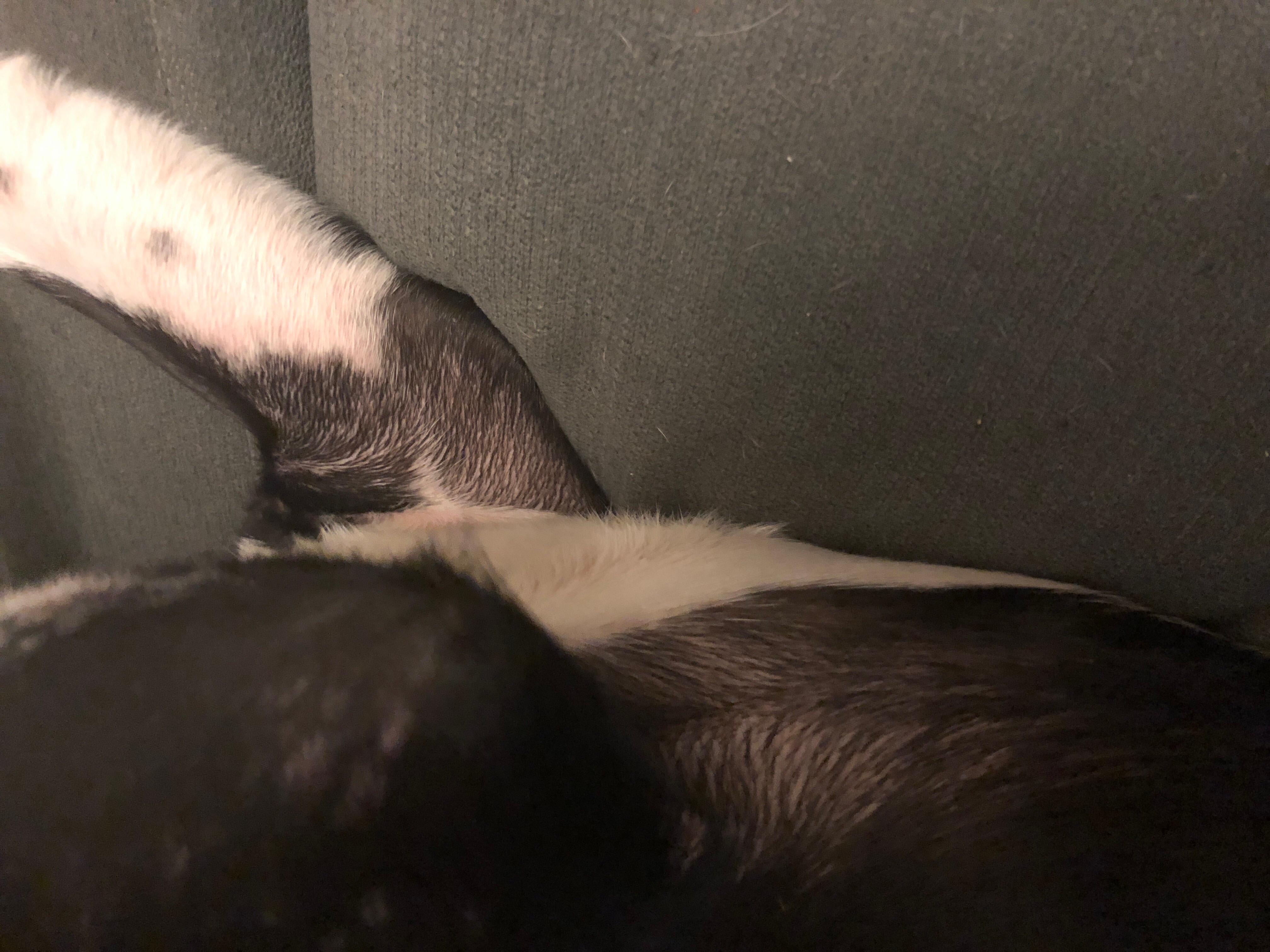 Question details sensitive content