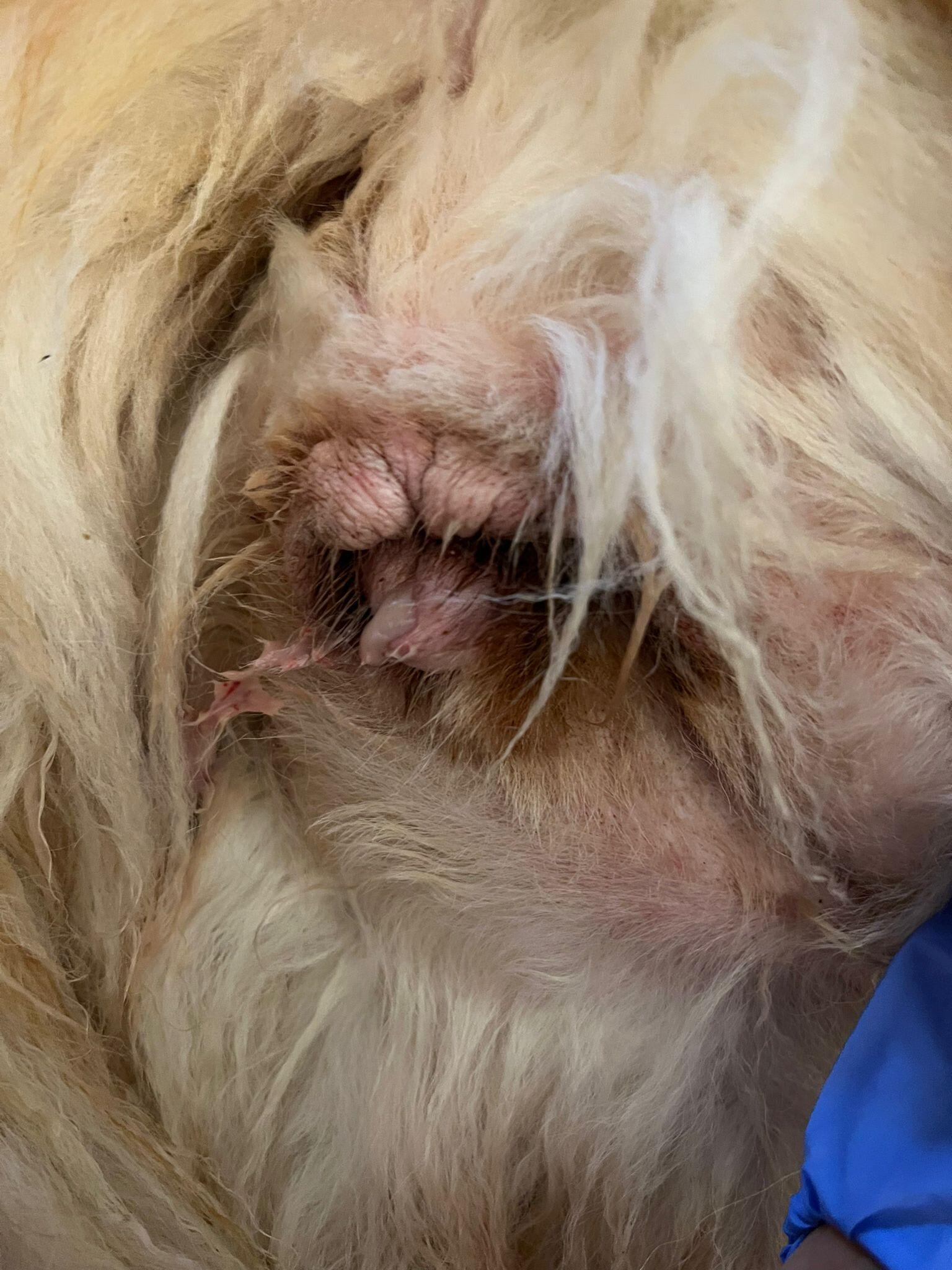 Question details sensitive content