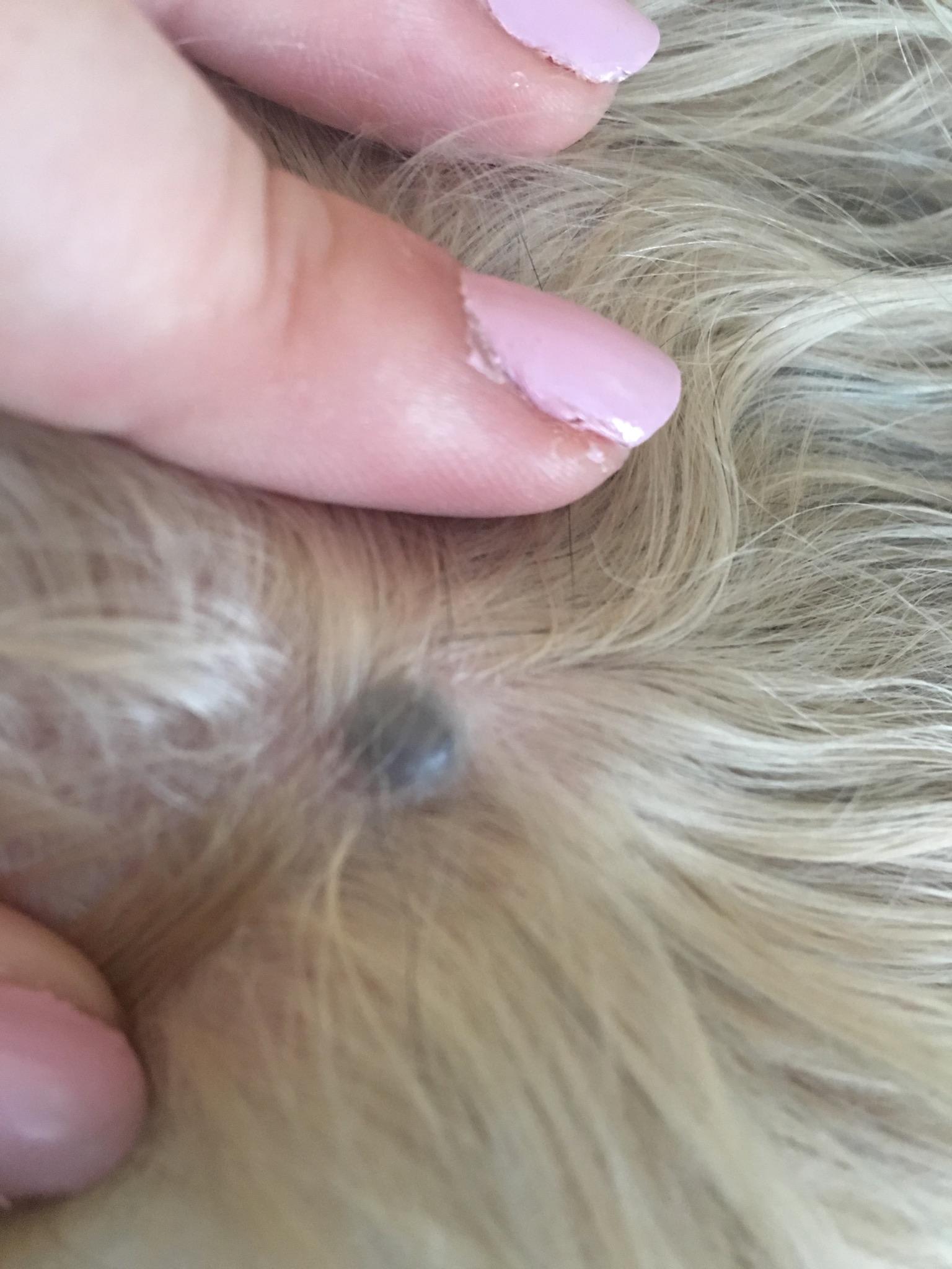 Question details sensitive content