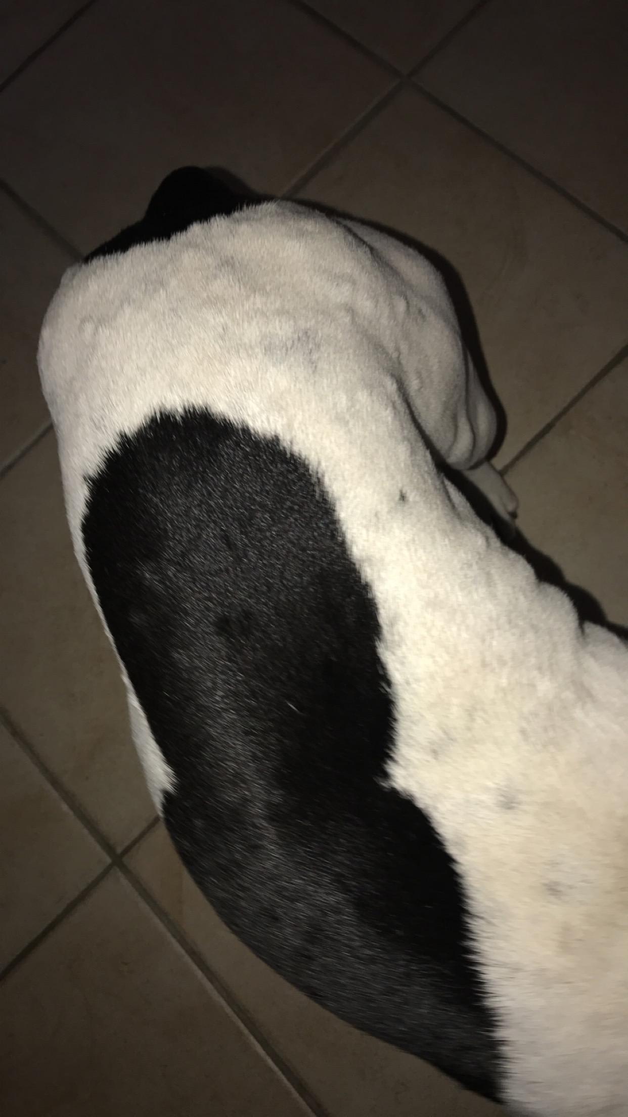 Question details sensitive content