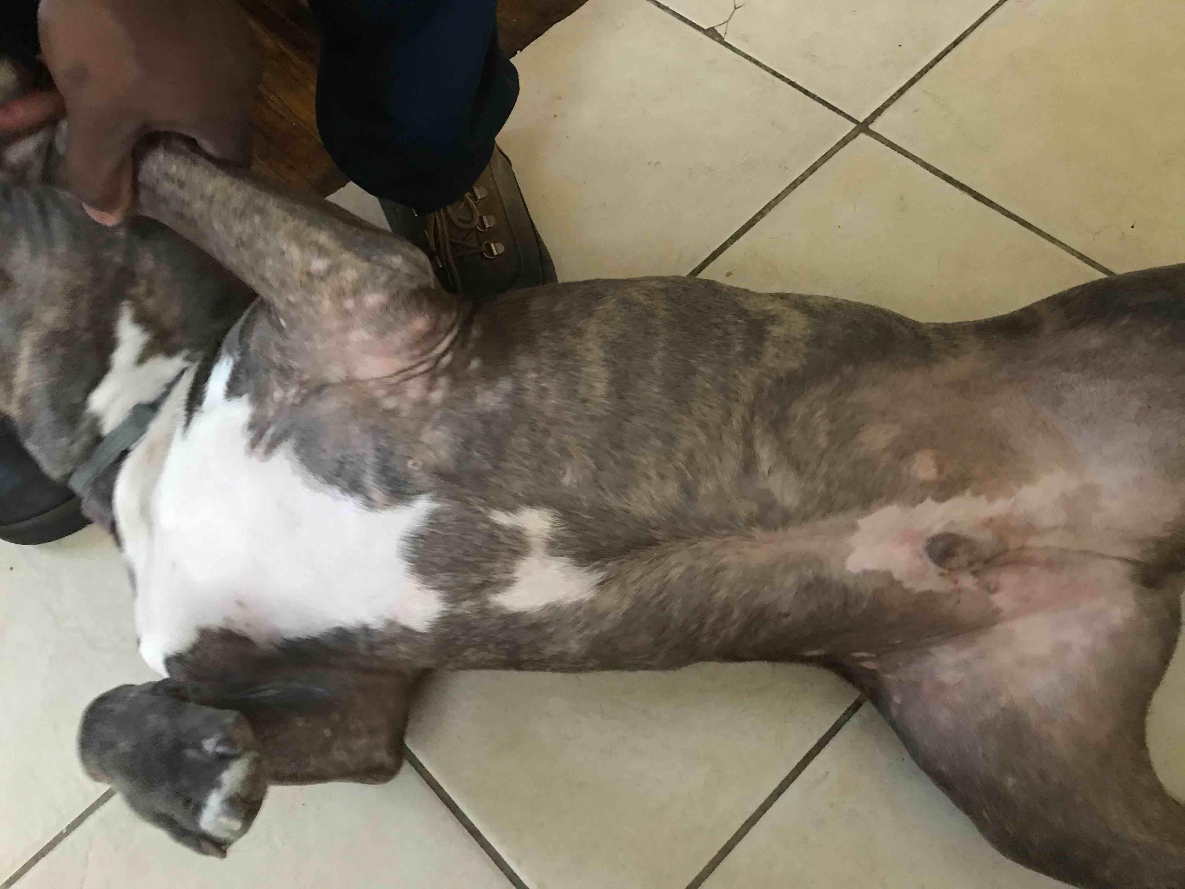 Question details sensitive content