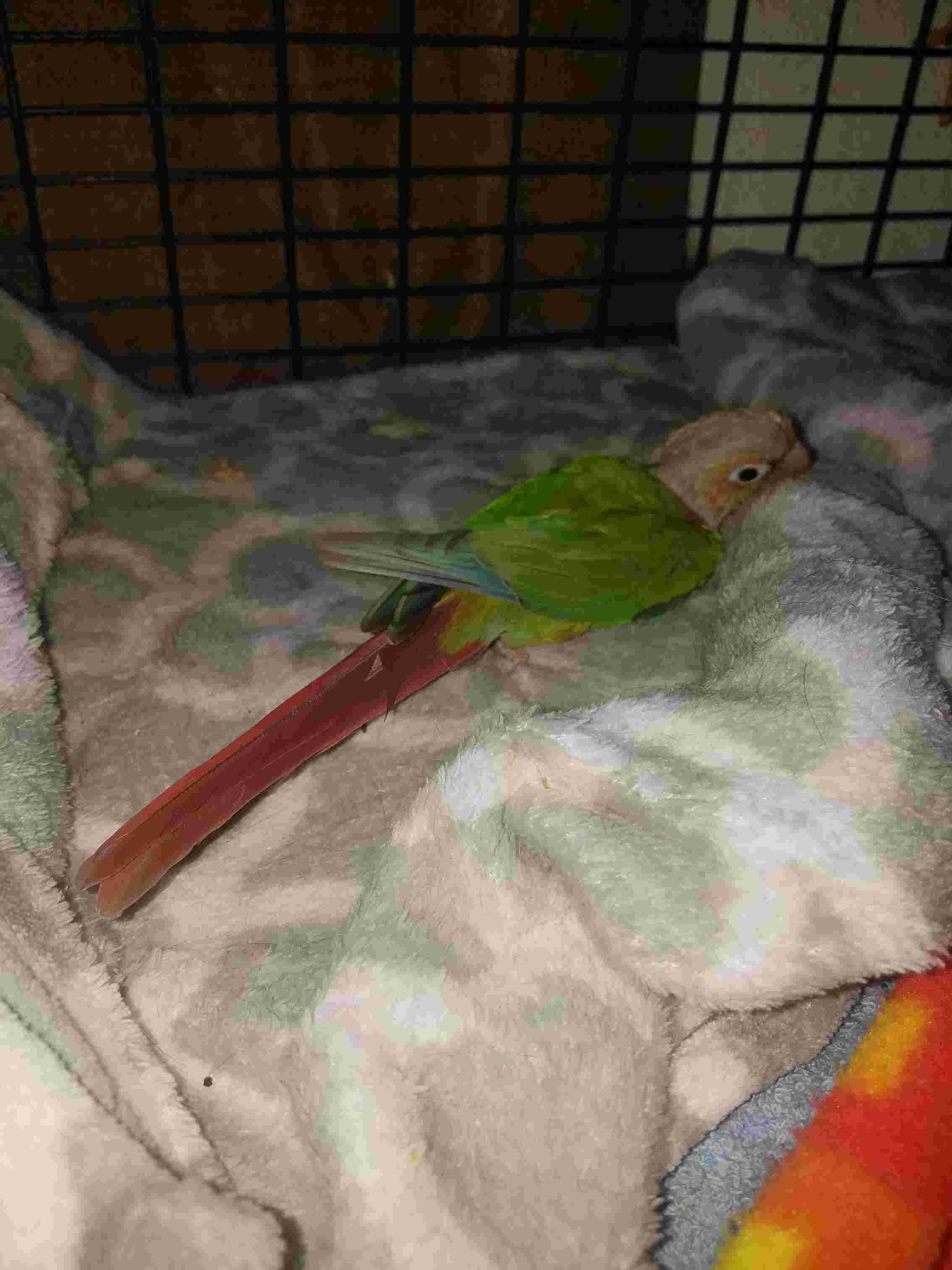 Question details sensitive content