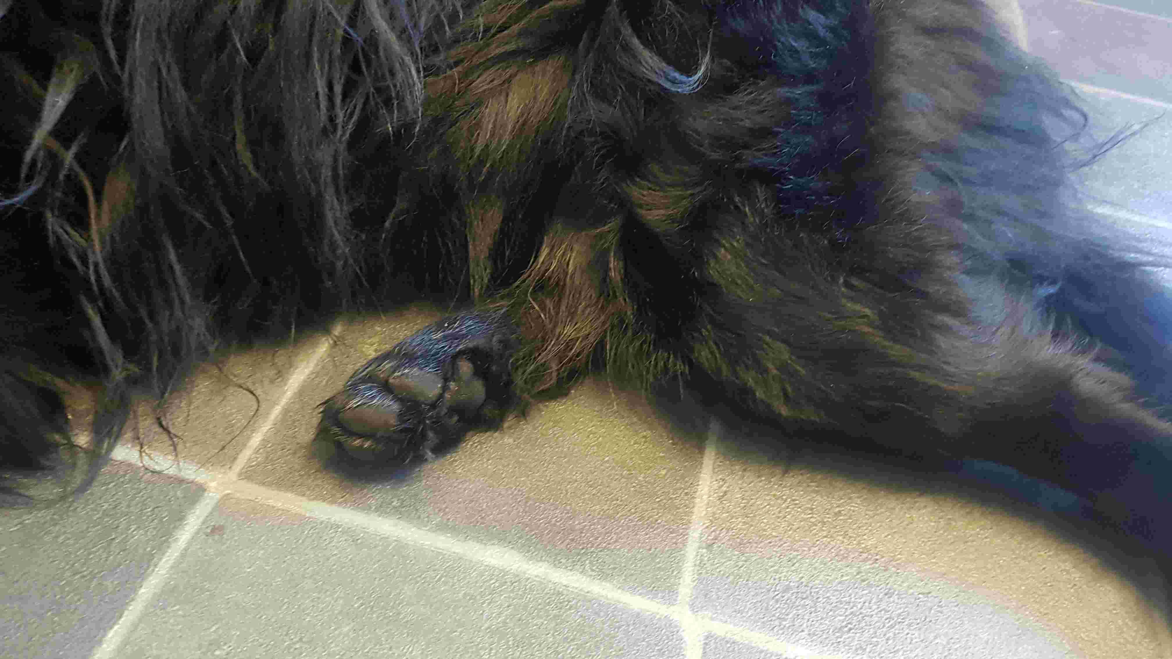 Question details sensitive content