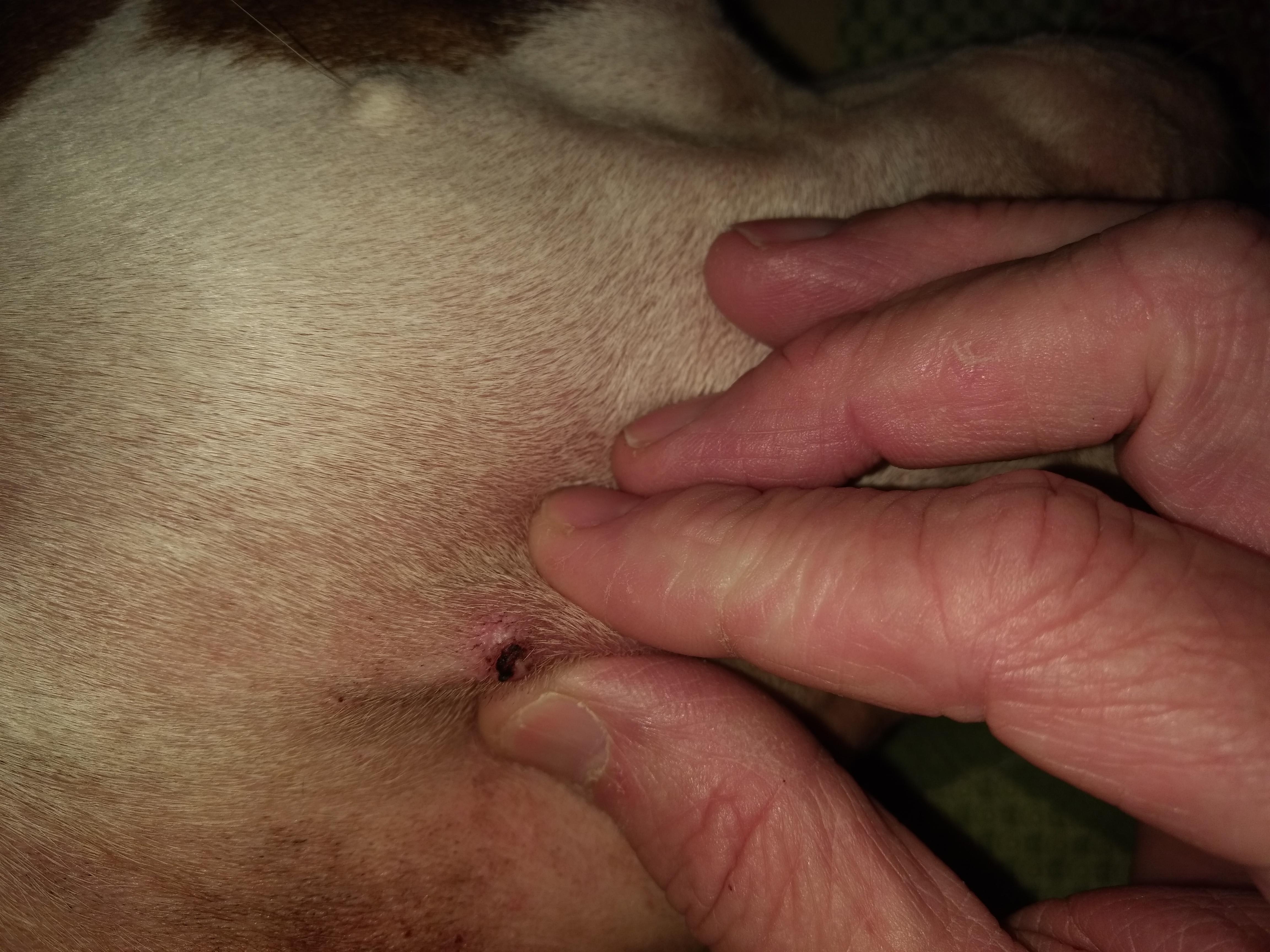 Question details sensitive content