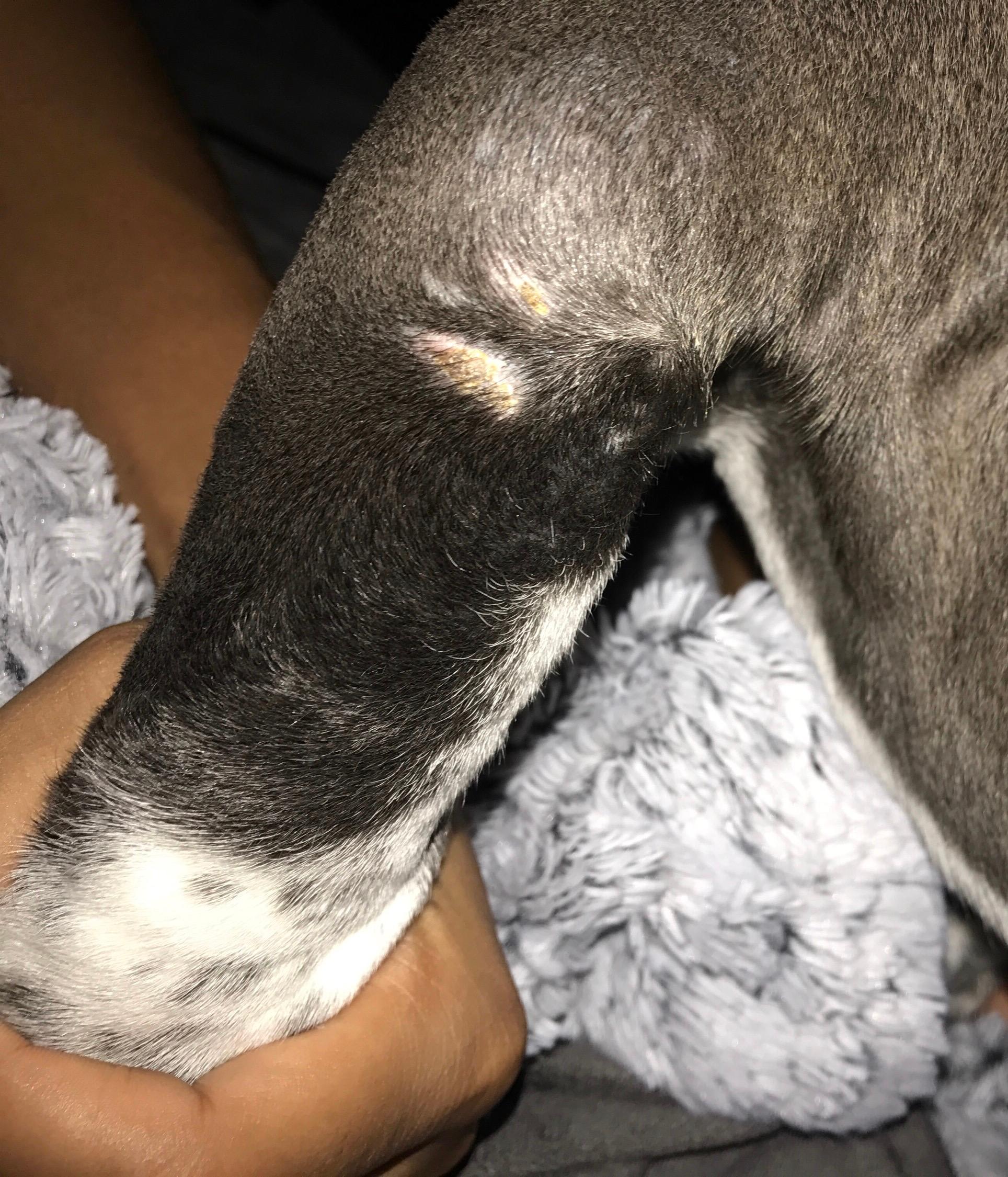 Question details sensitive content