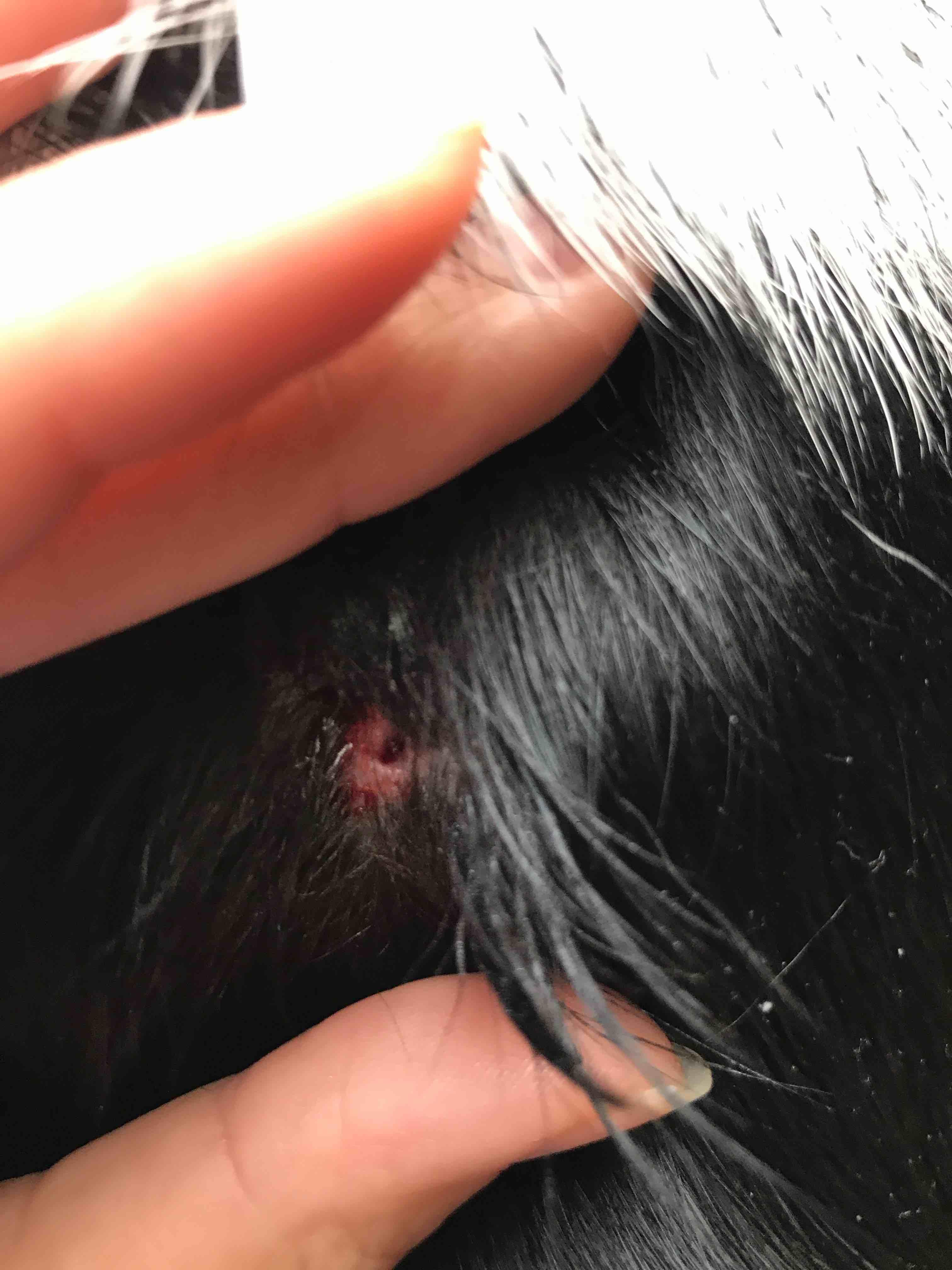 Question details sensitive content