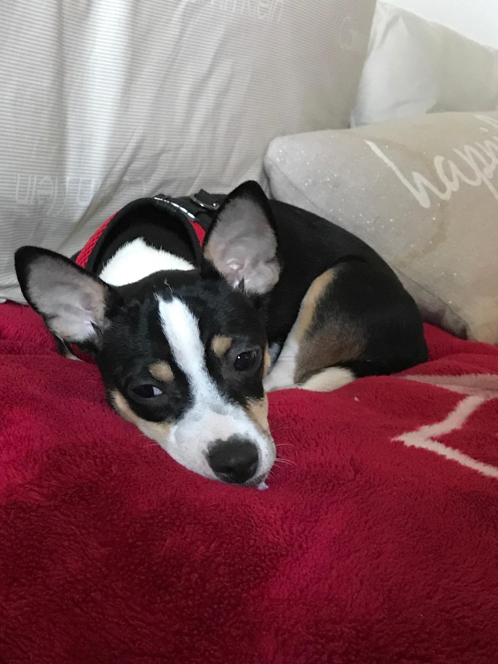 Question details sensitive content