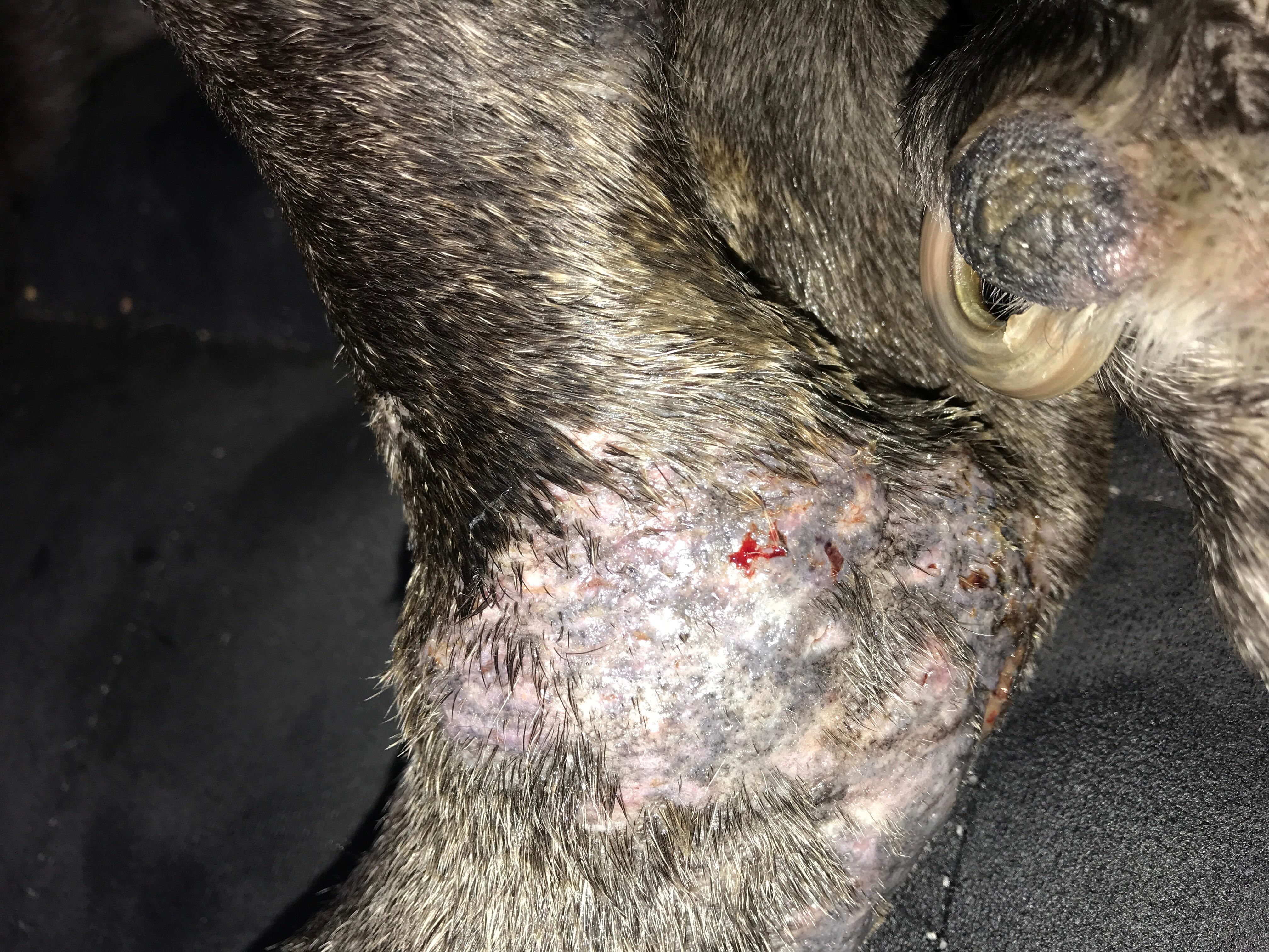 Question details sensitive content