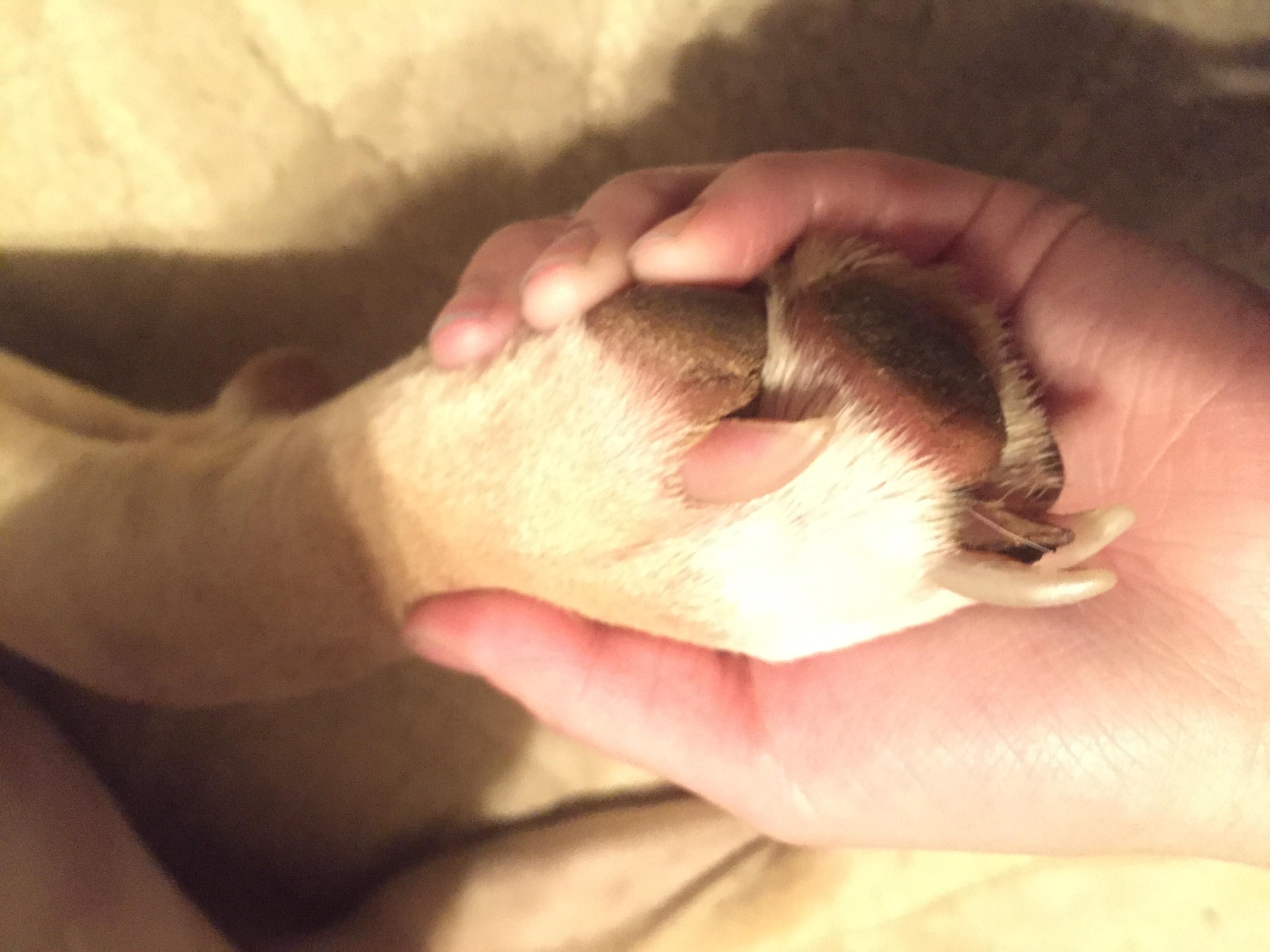 Question details sensitive content