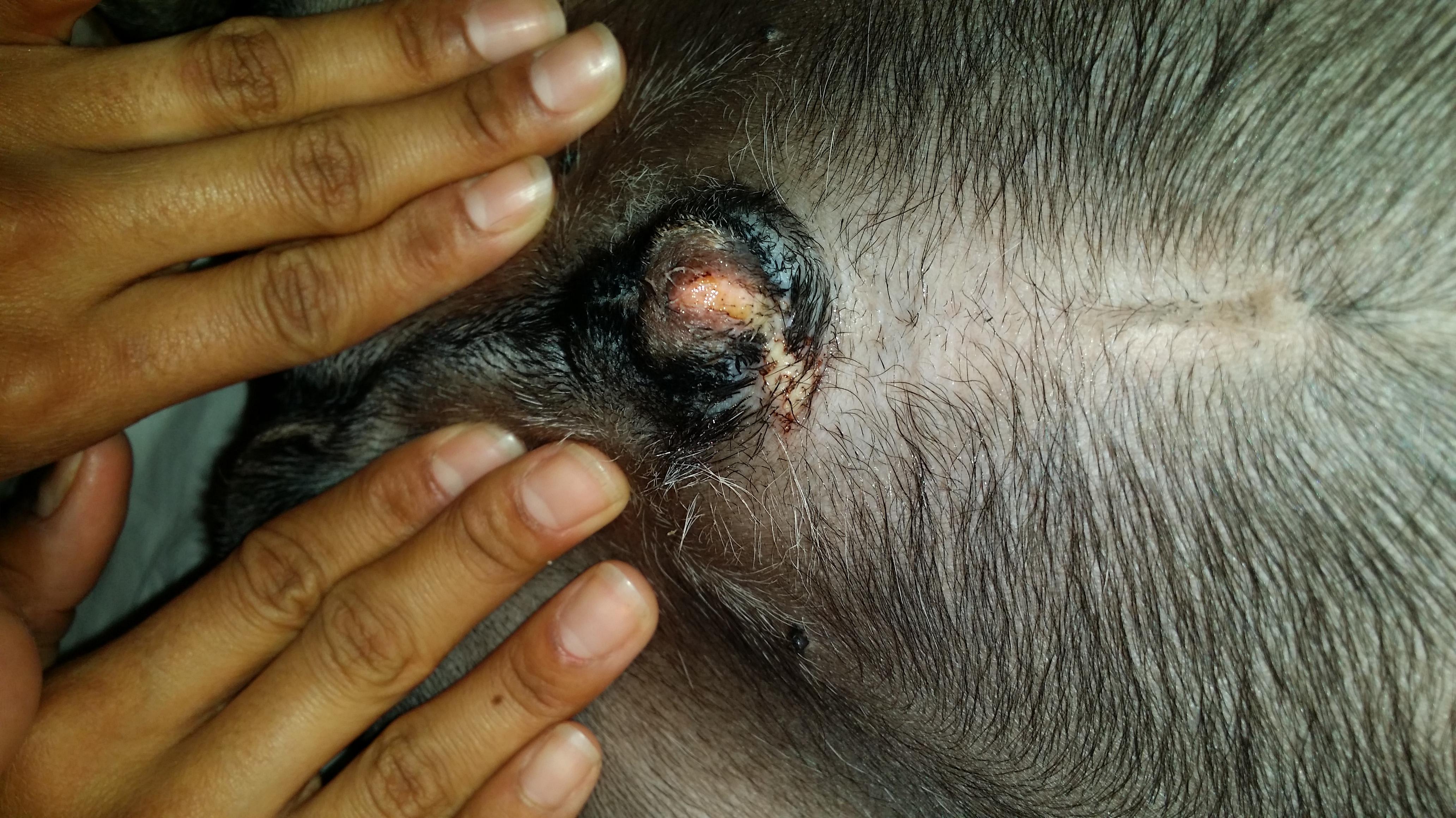 Question details sensitive content