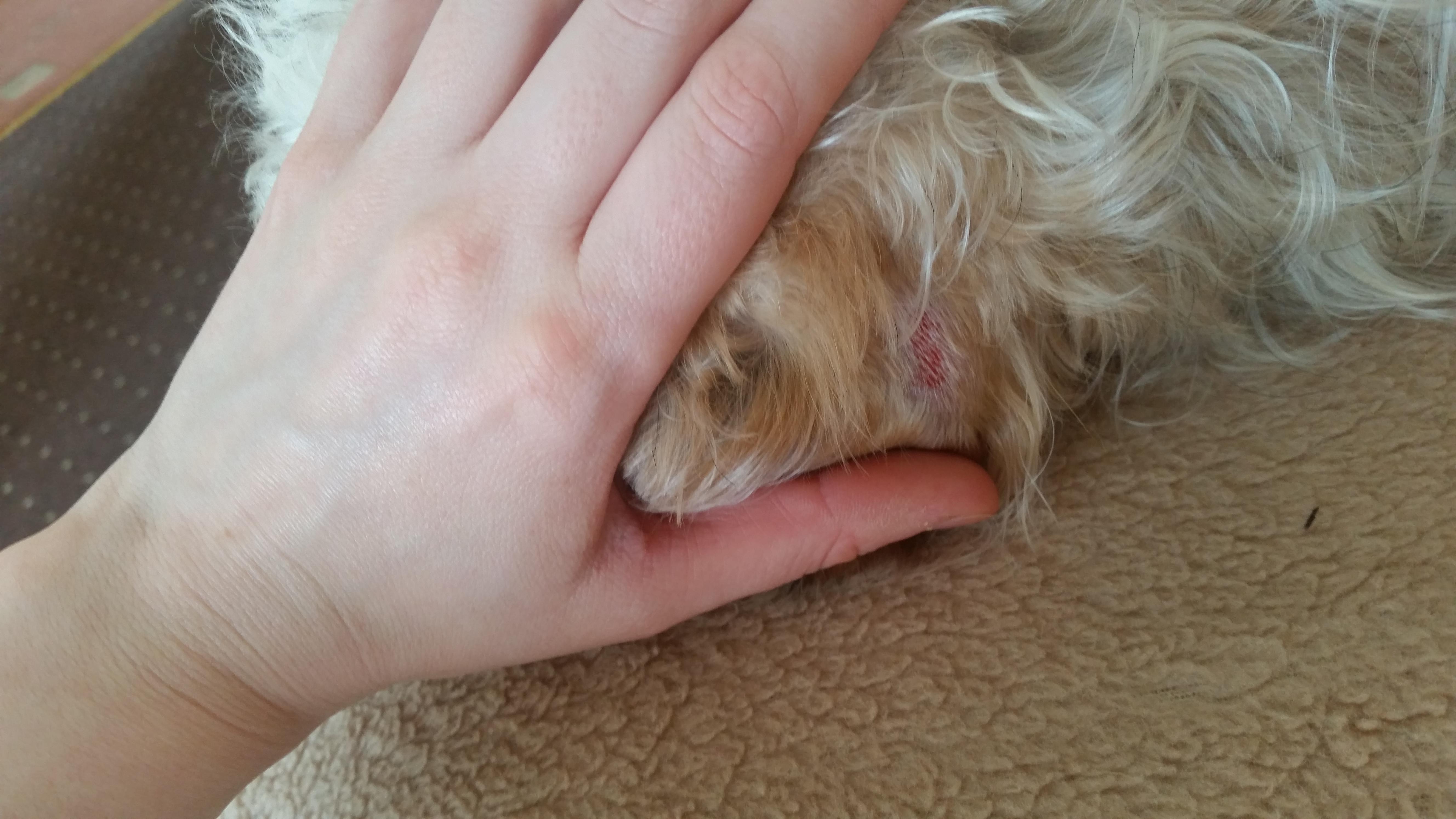 Question details sensitive content