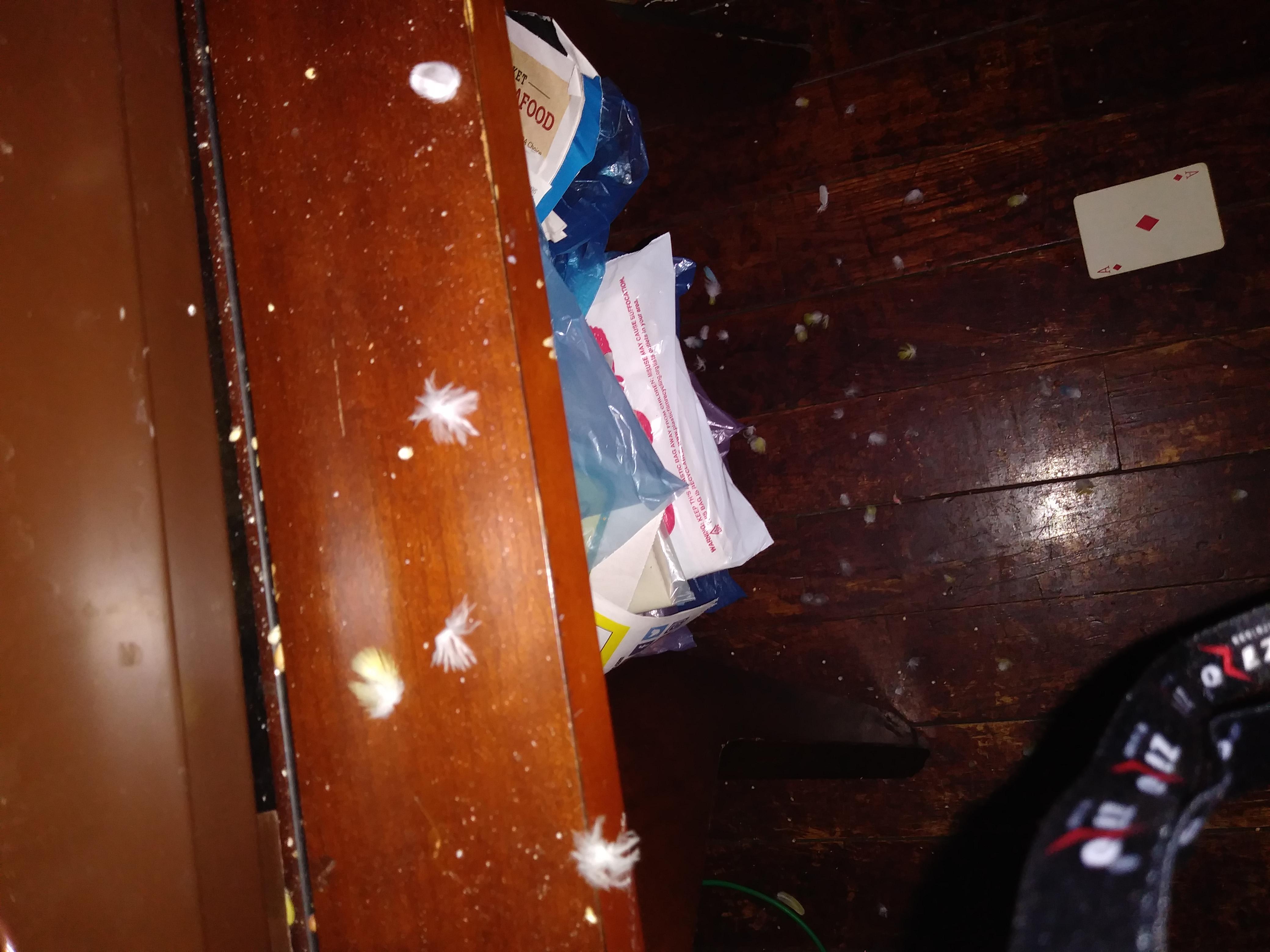 Question details sensitive content