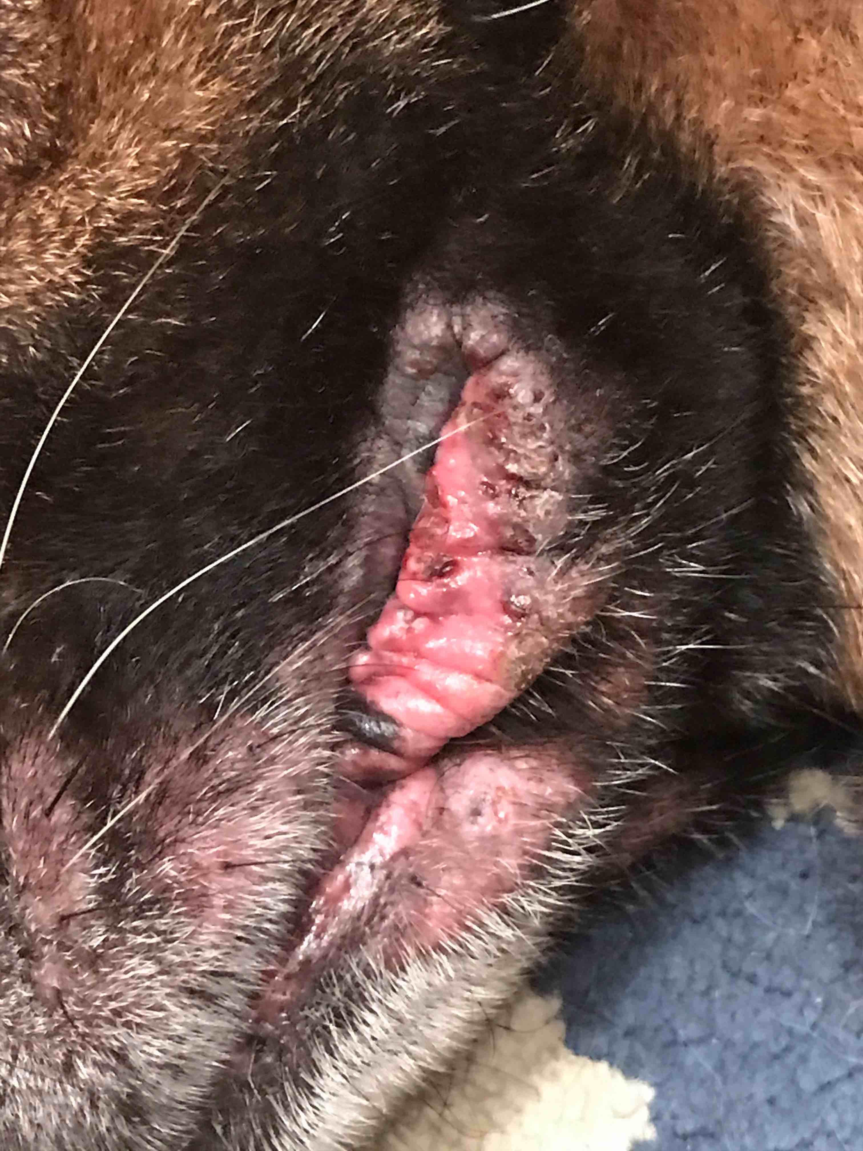 Question details sensitive content