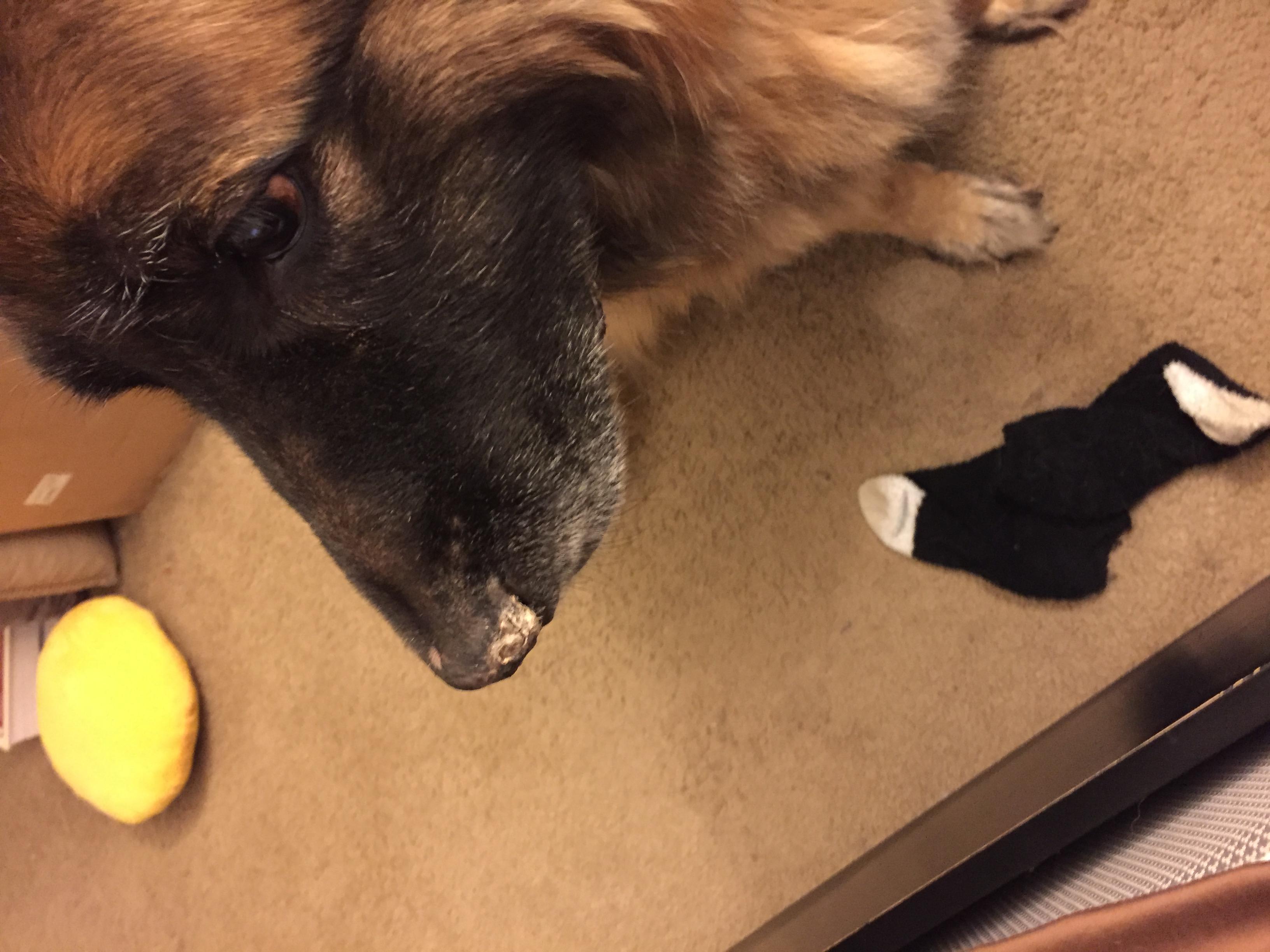 Question details sensitive content