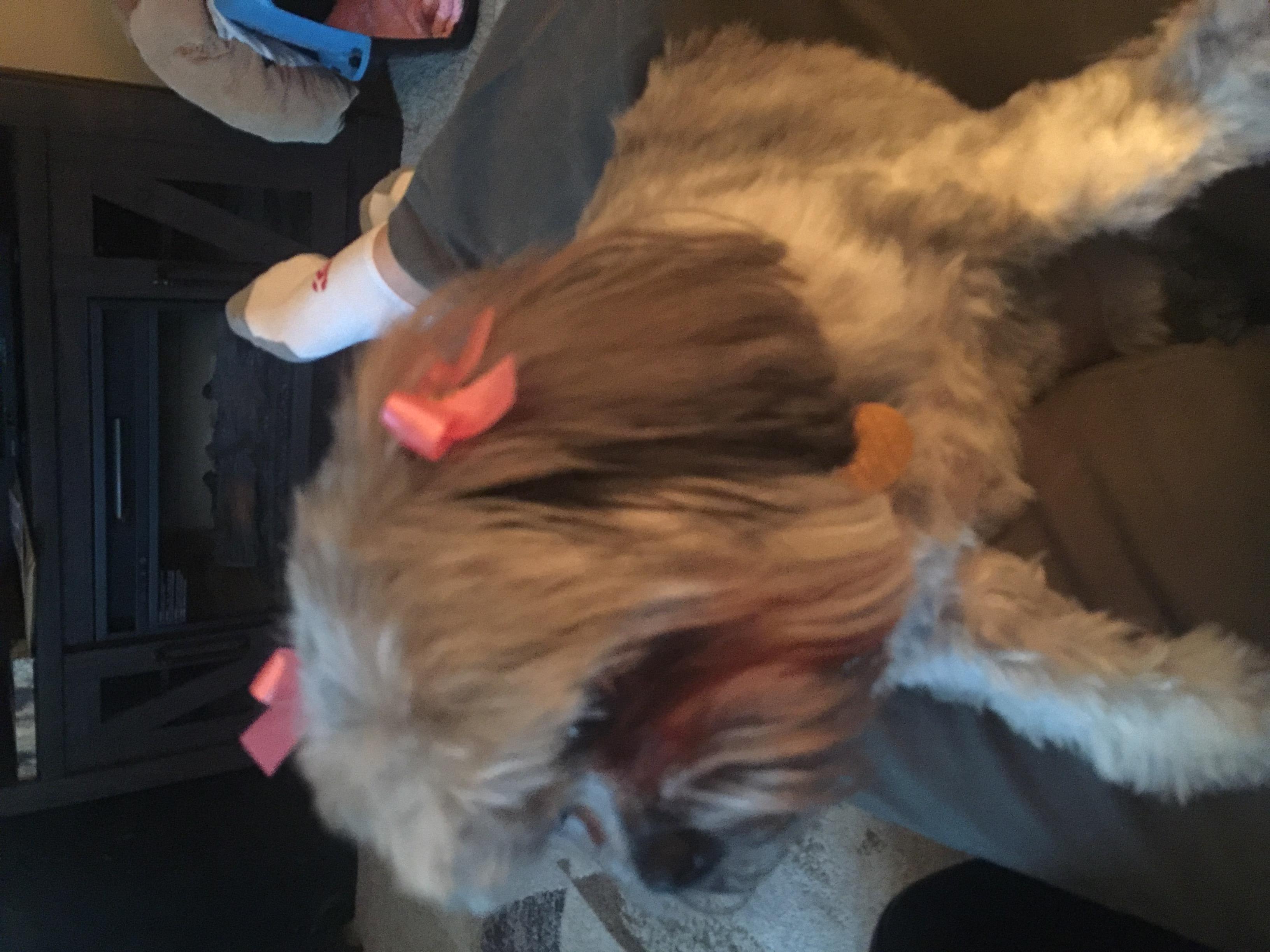 Question details sensitive content