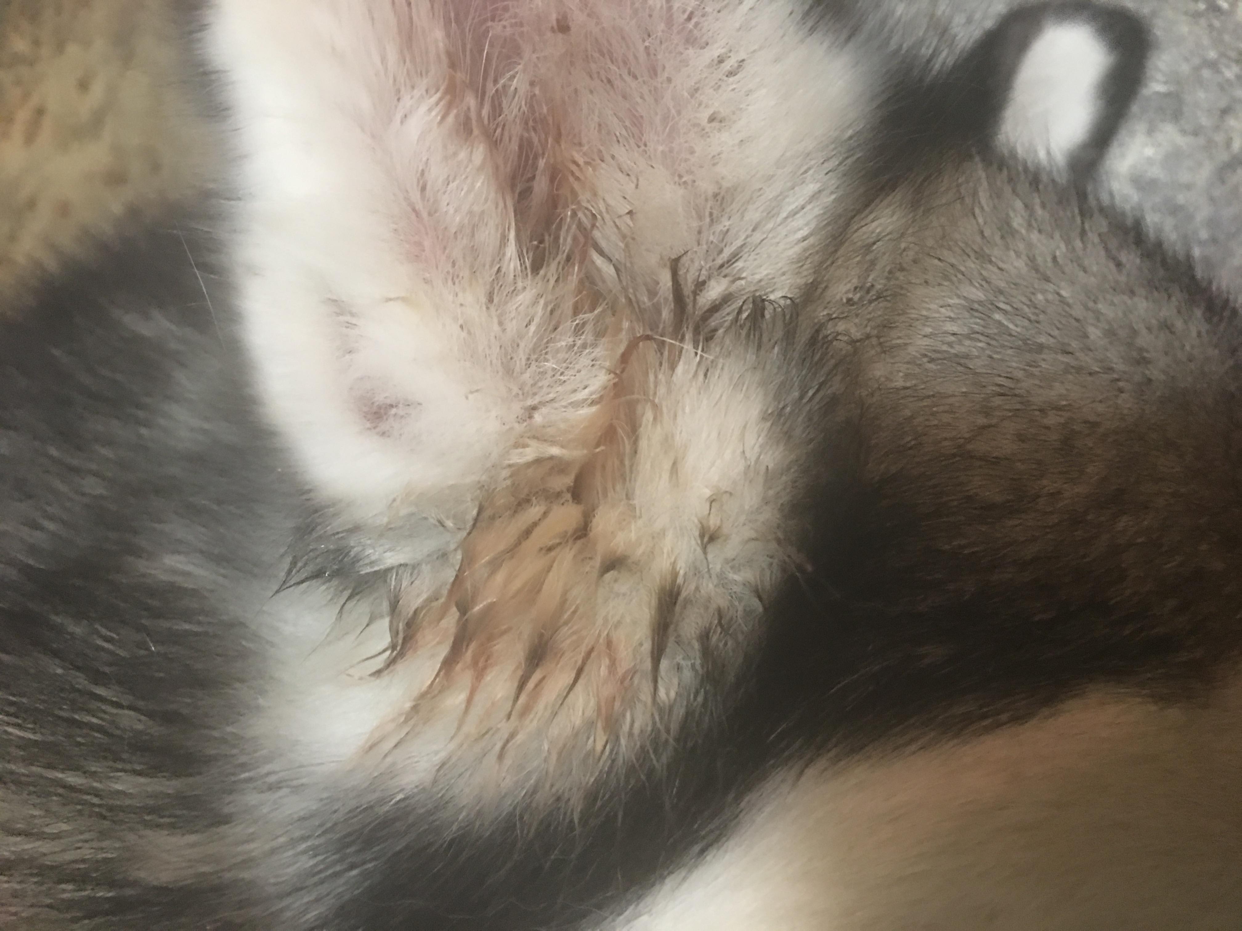 Question details sensitive content