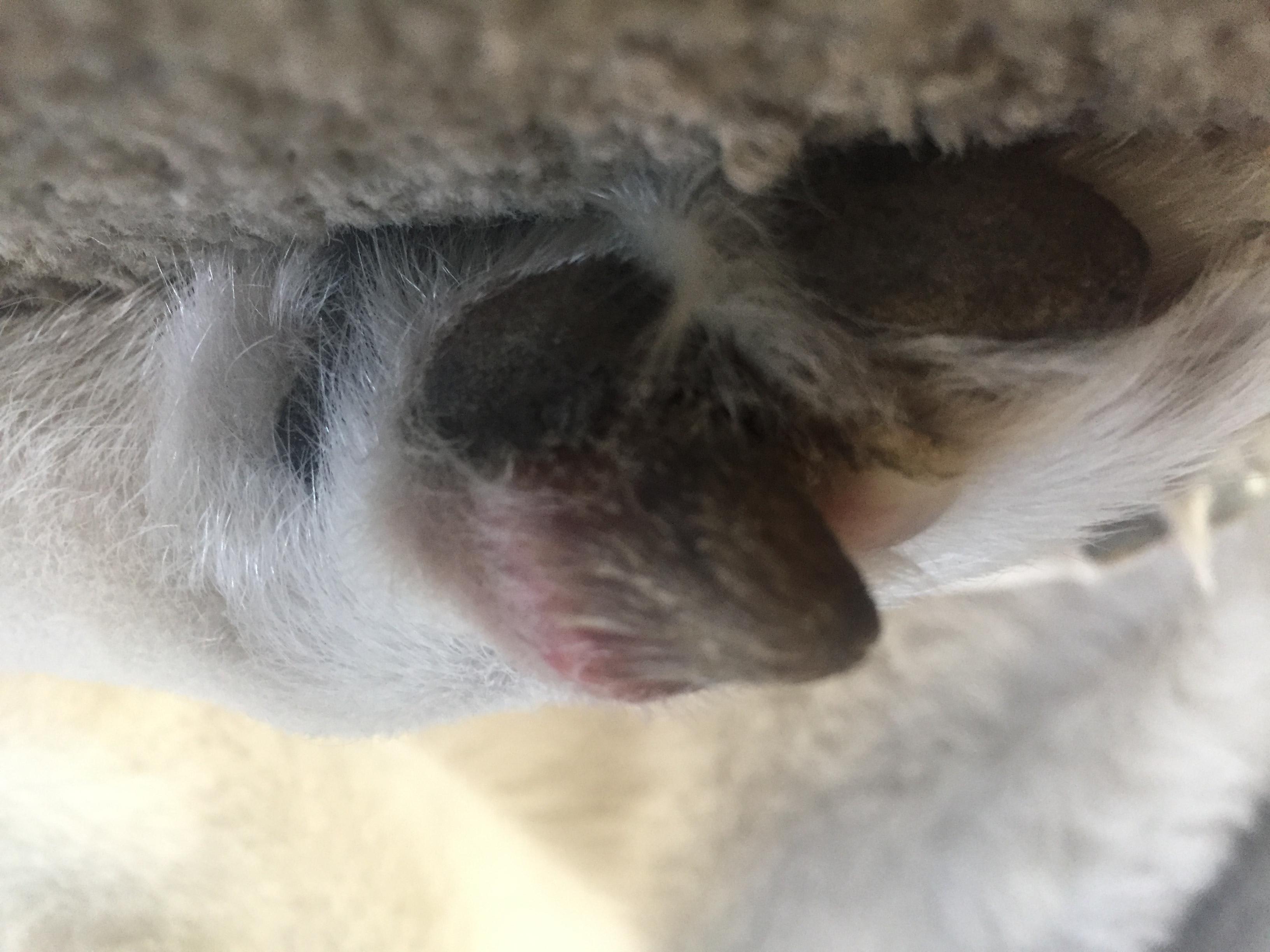 Question details sensitive content