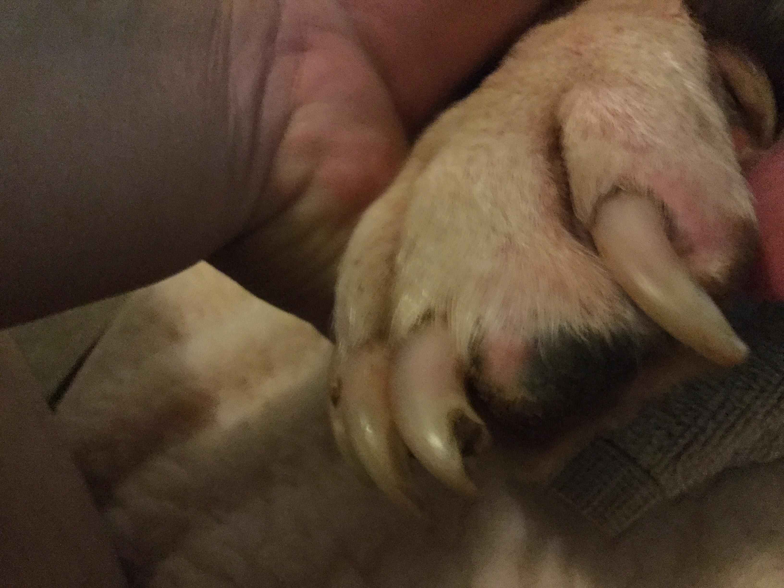 Question details sensitive content