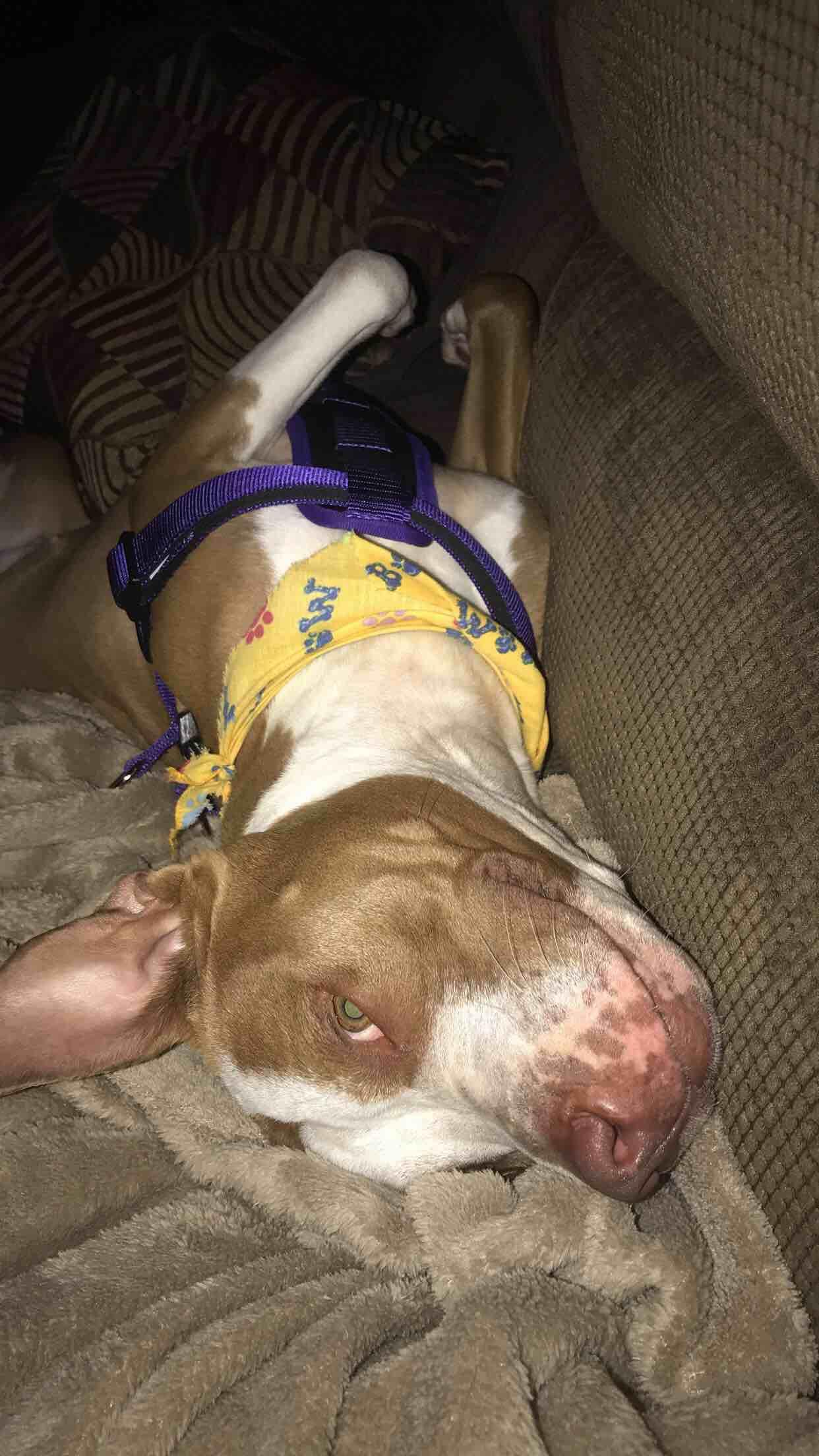 Question details sensitive content