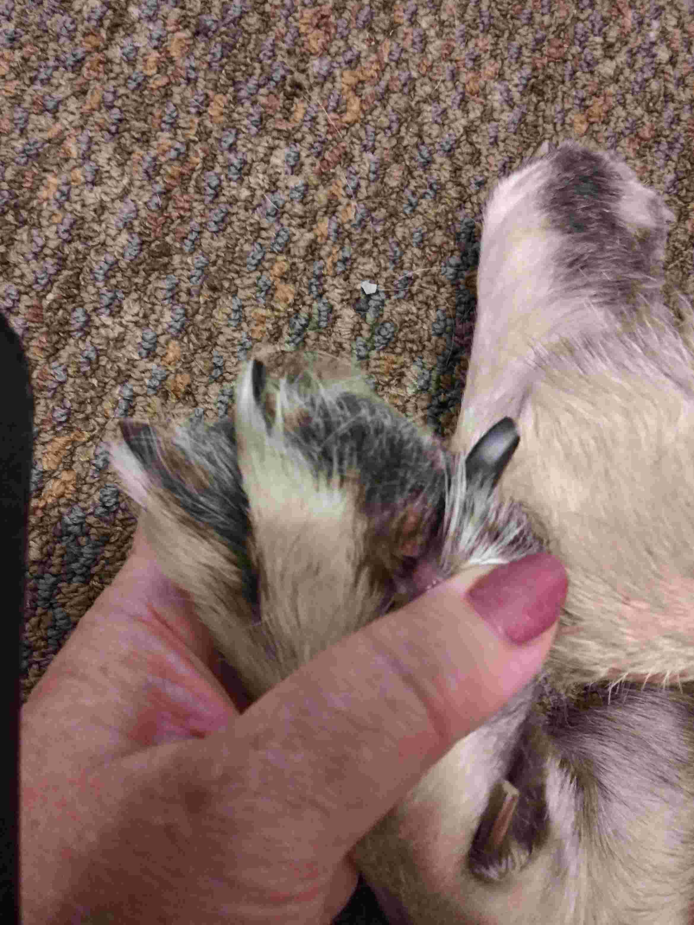 Question details sensitive content