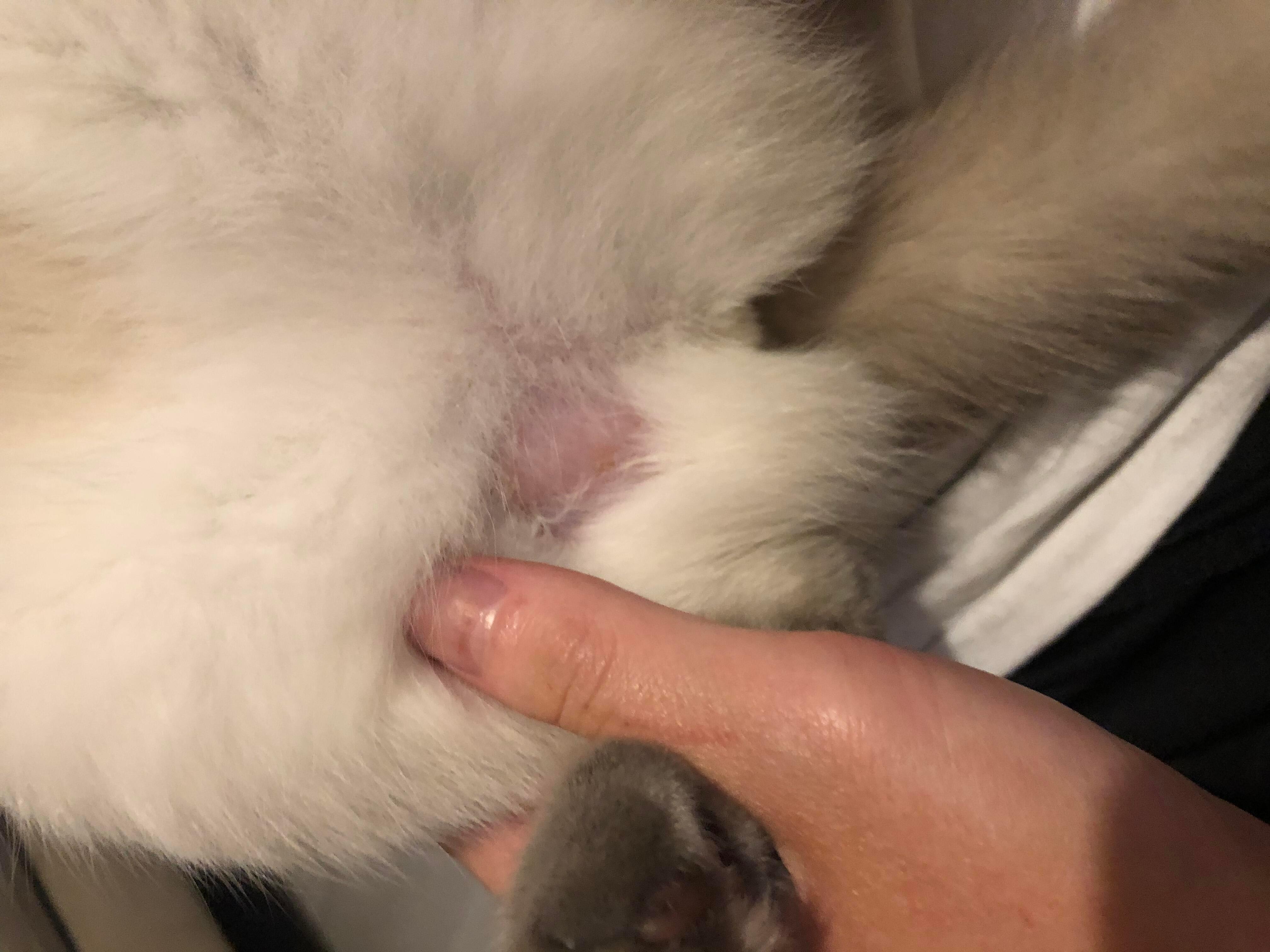 Question details sensitive content