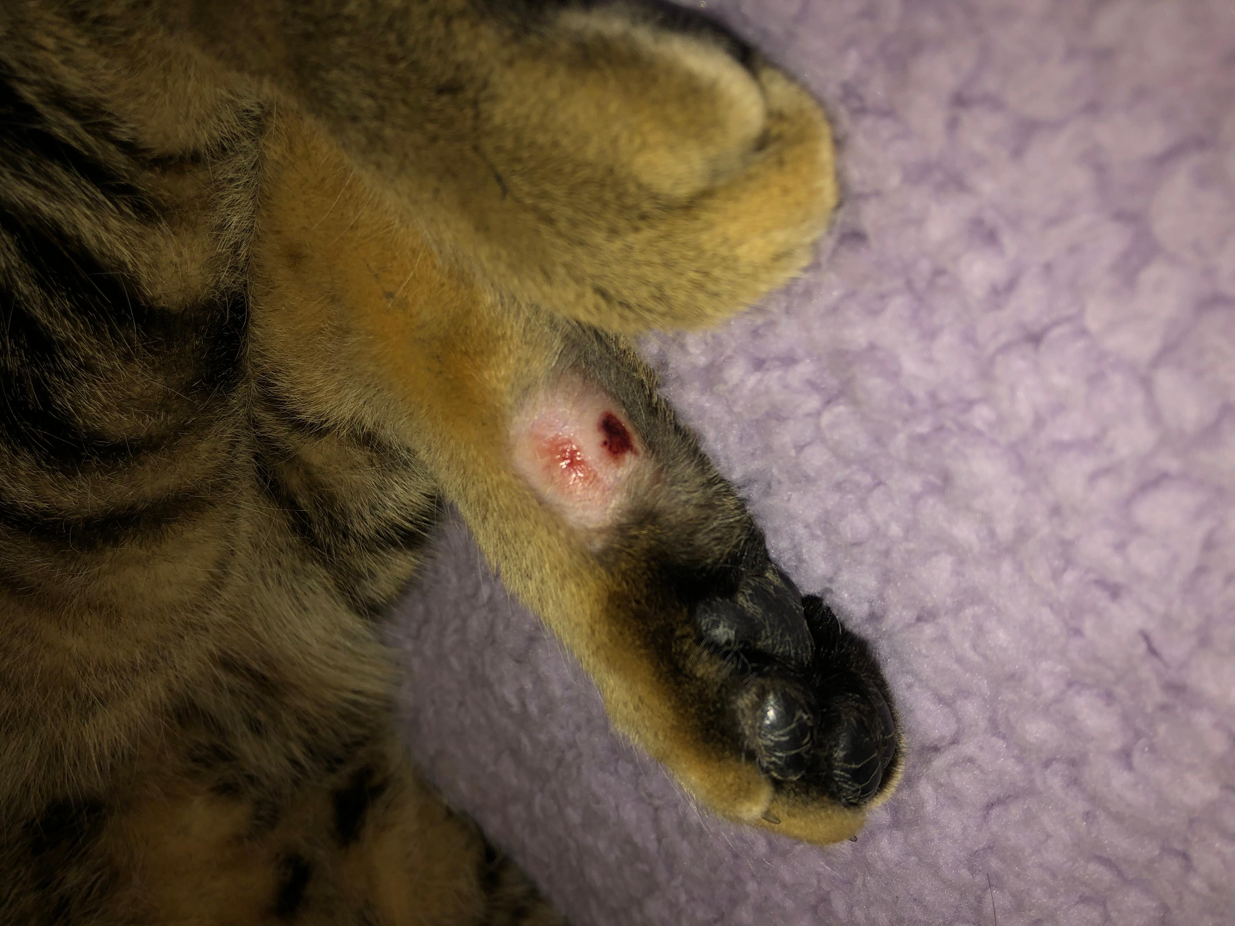 Question details sensitive content