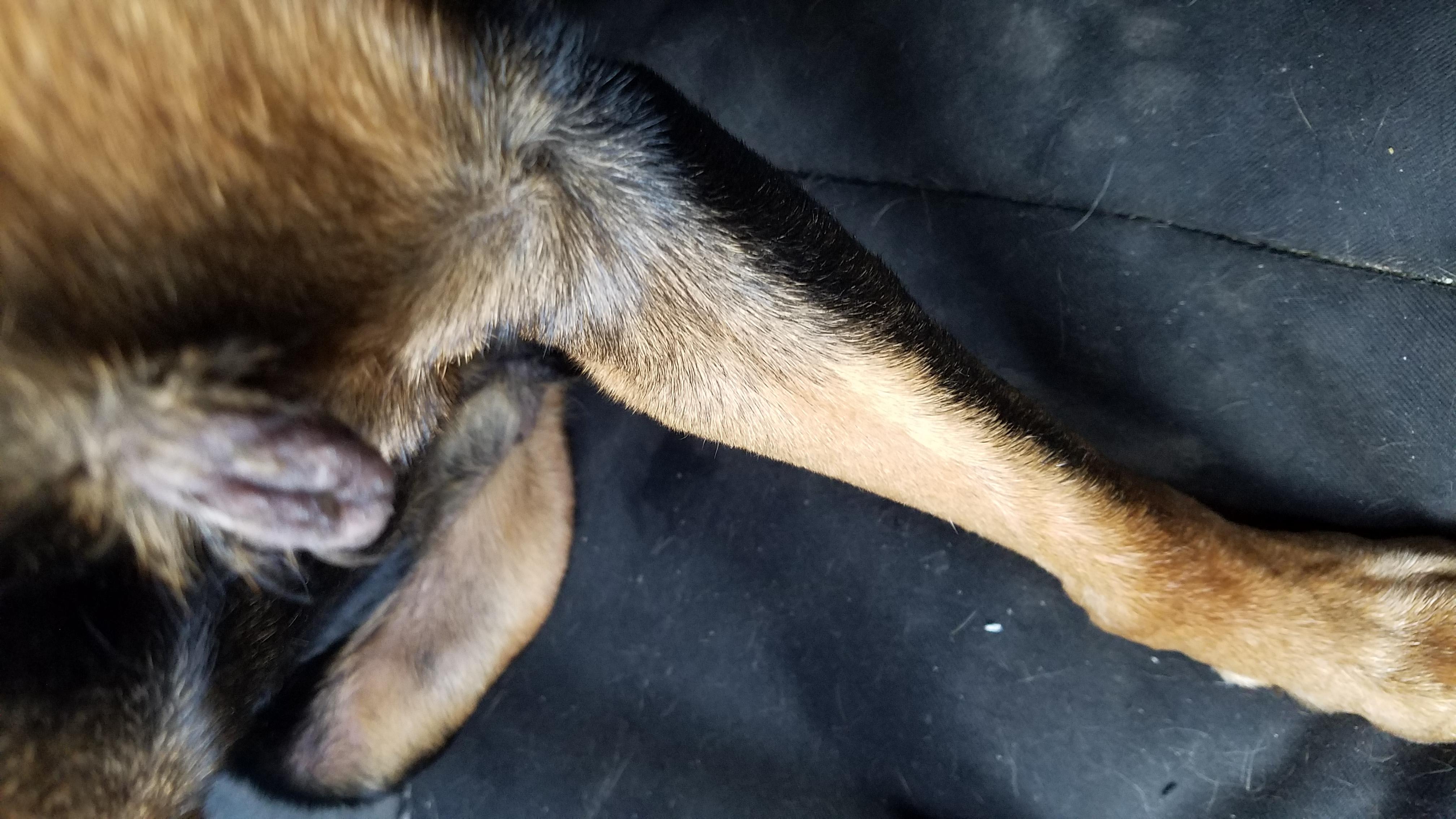 Question details sensitive content