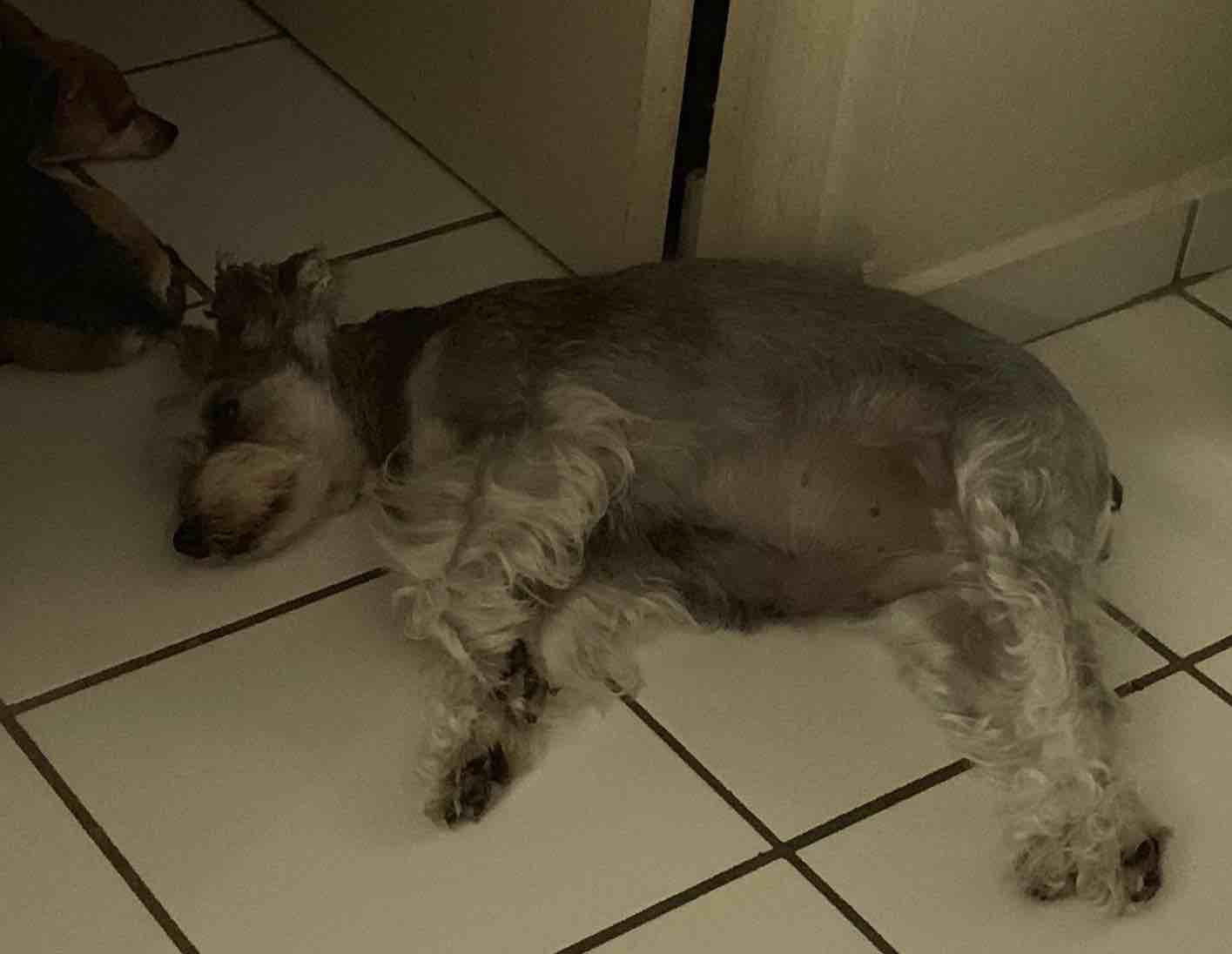 Question details sensitive content