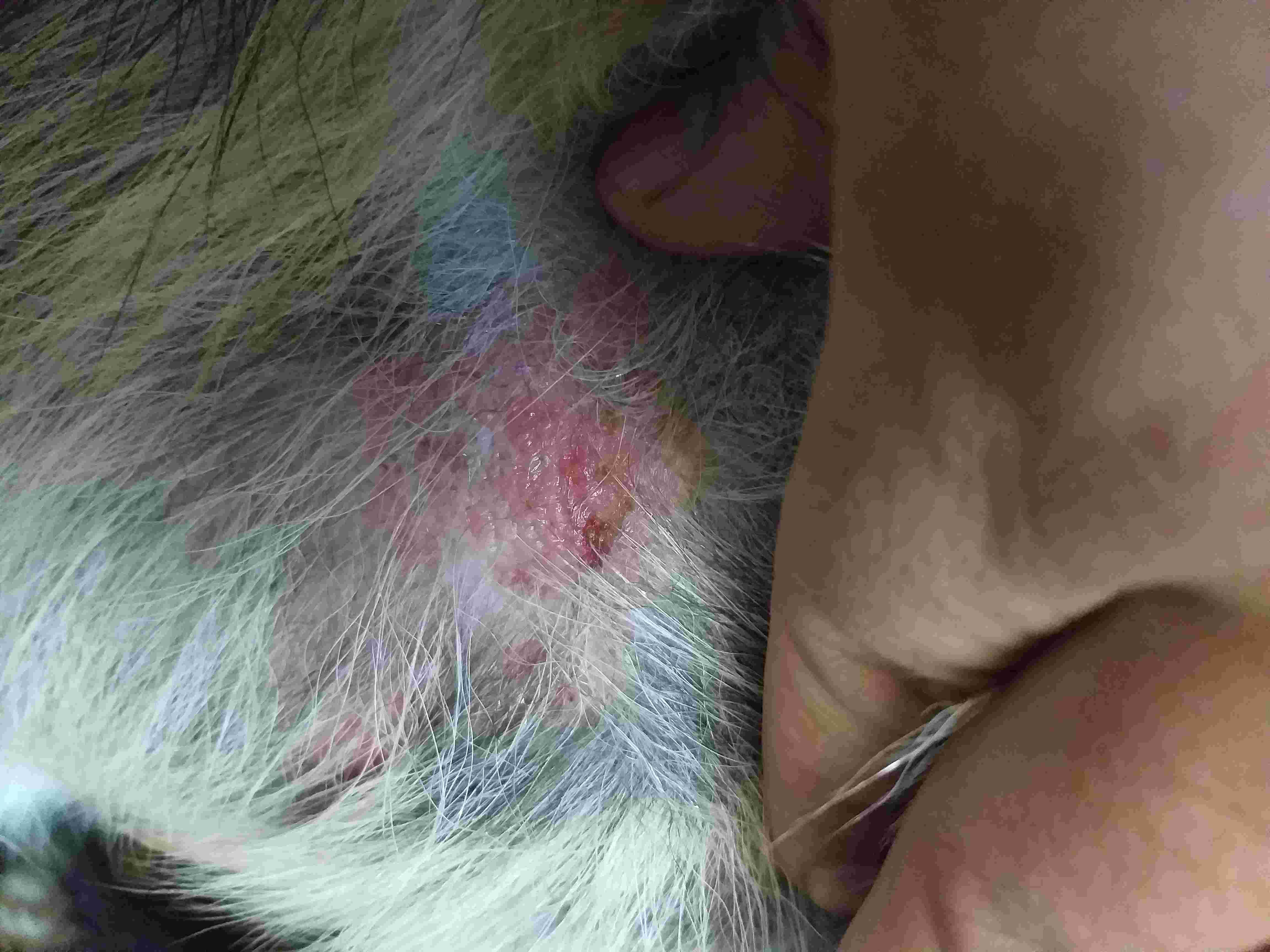 Question details sensitive content