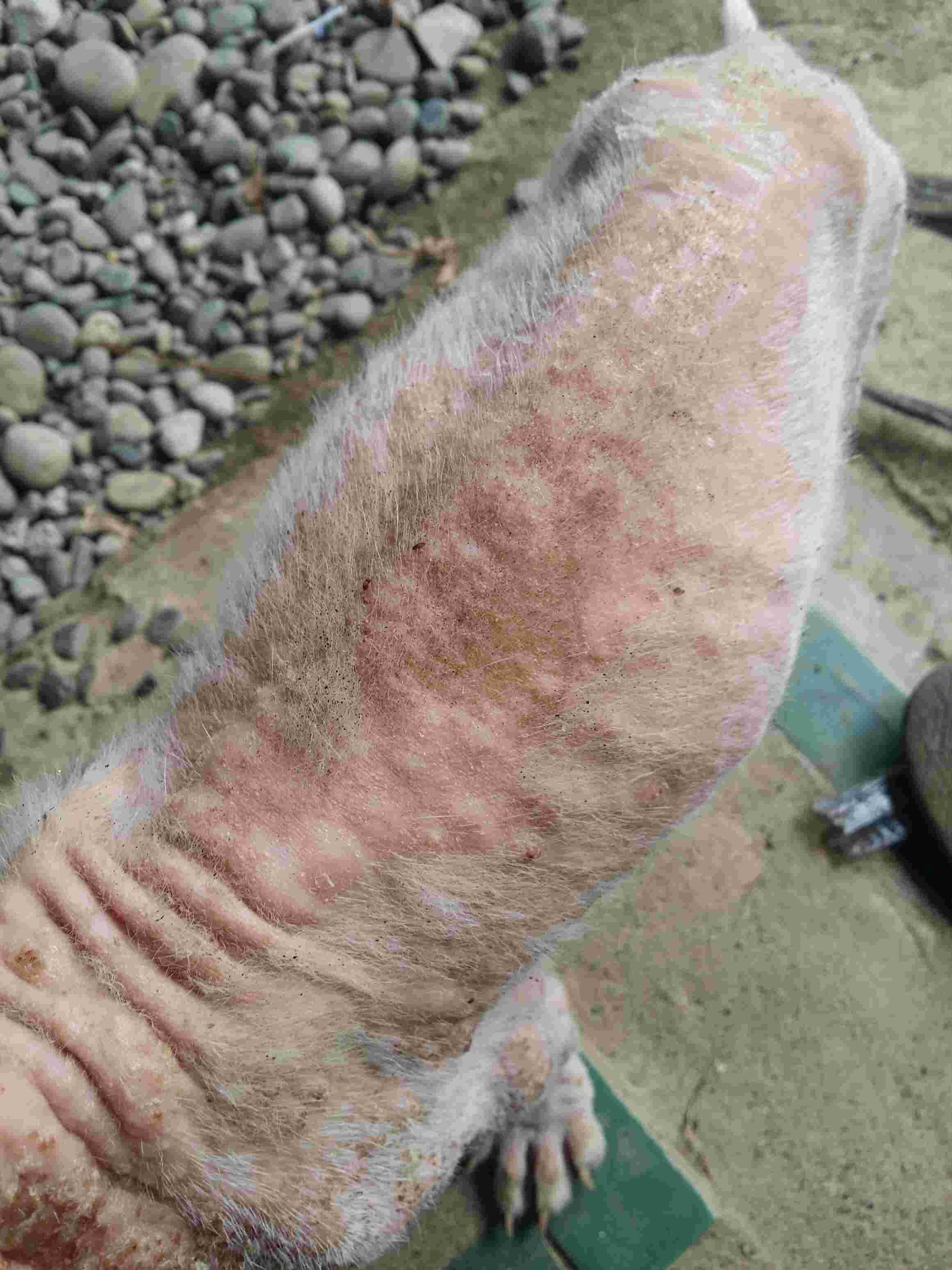 Question details sensitive content