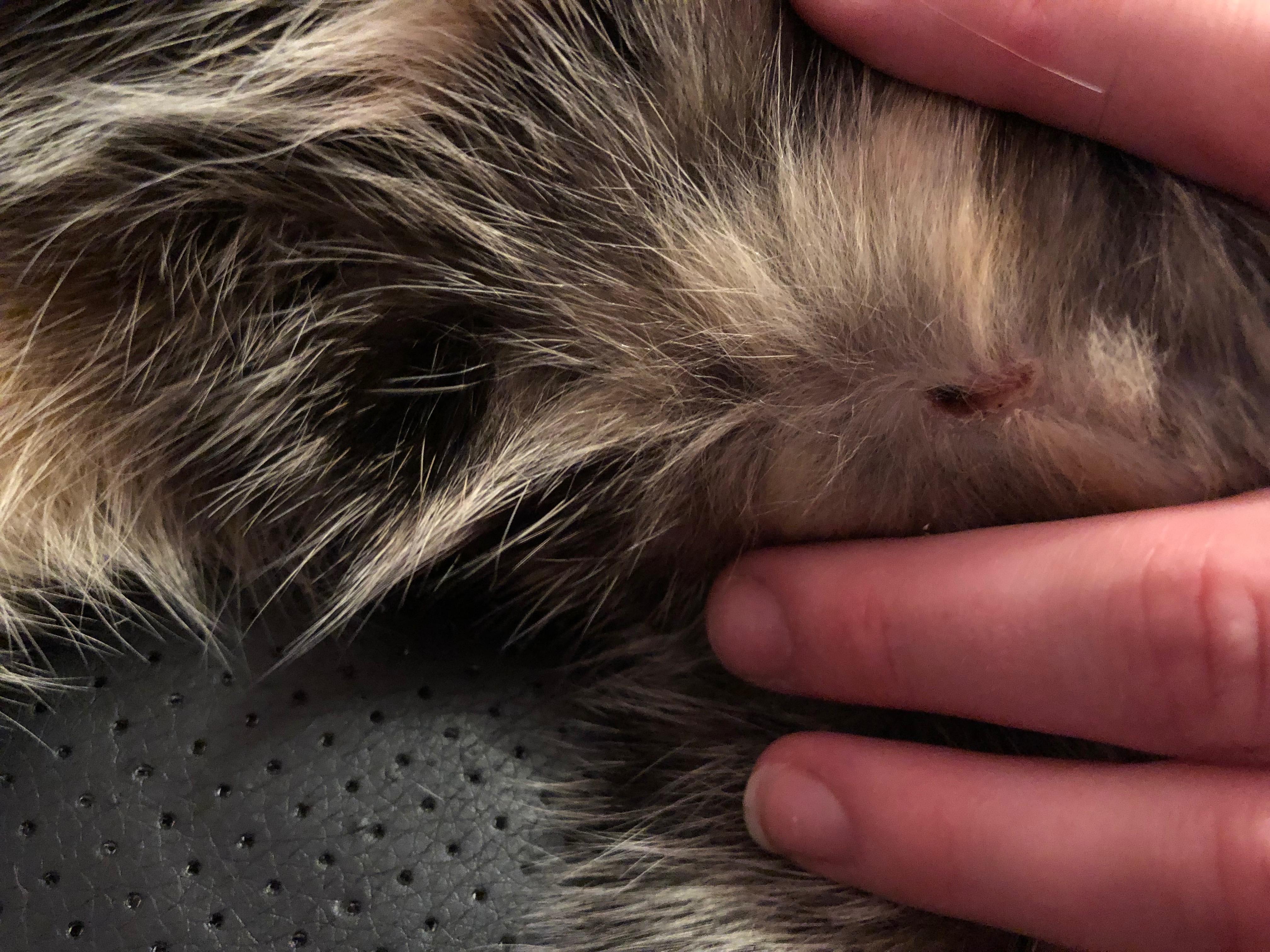 Question details sensitive content