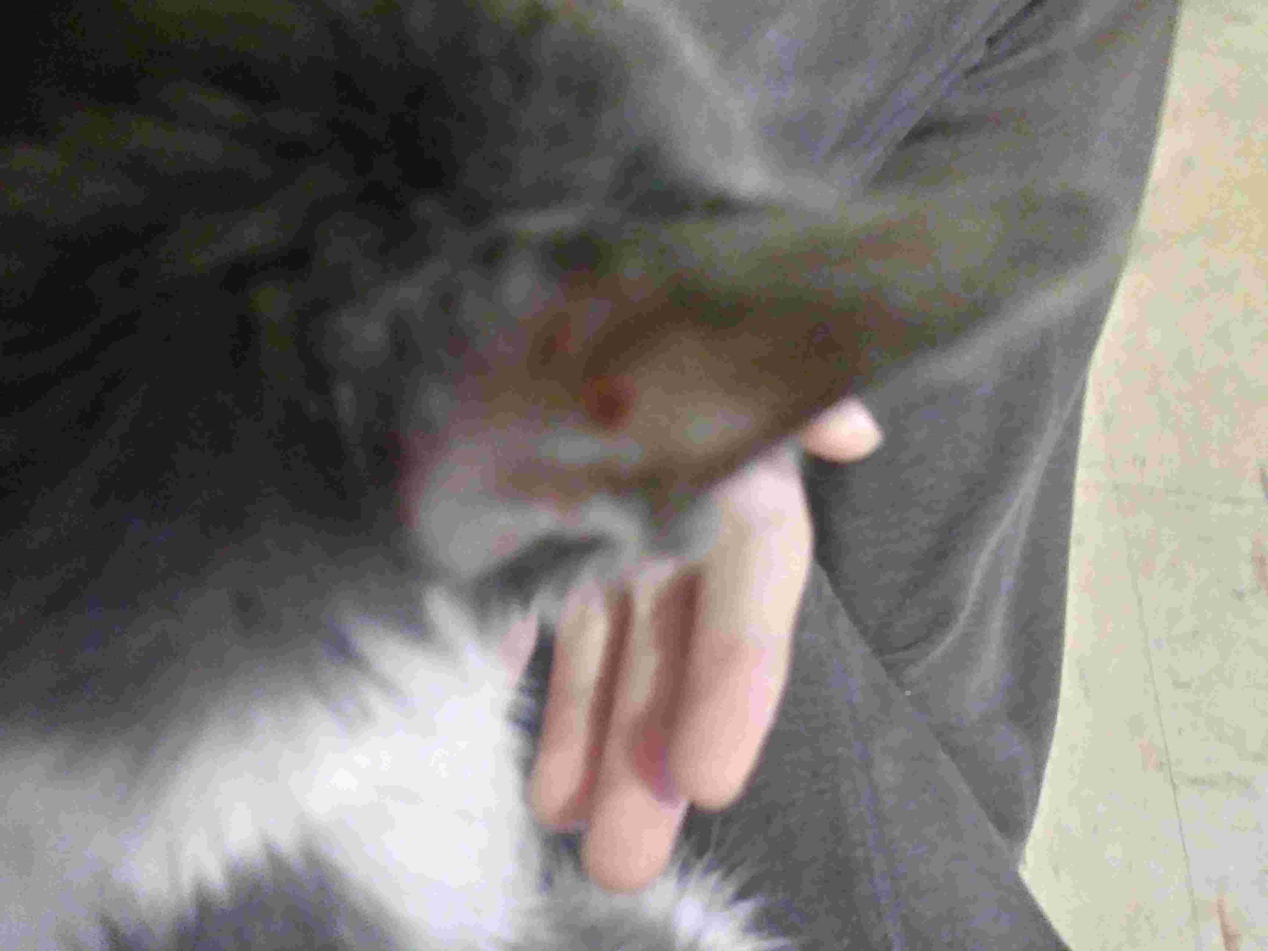 Question details sensitive content