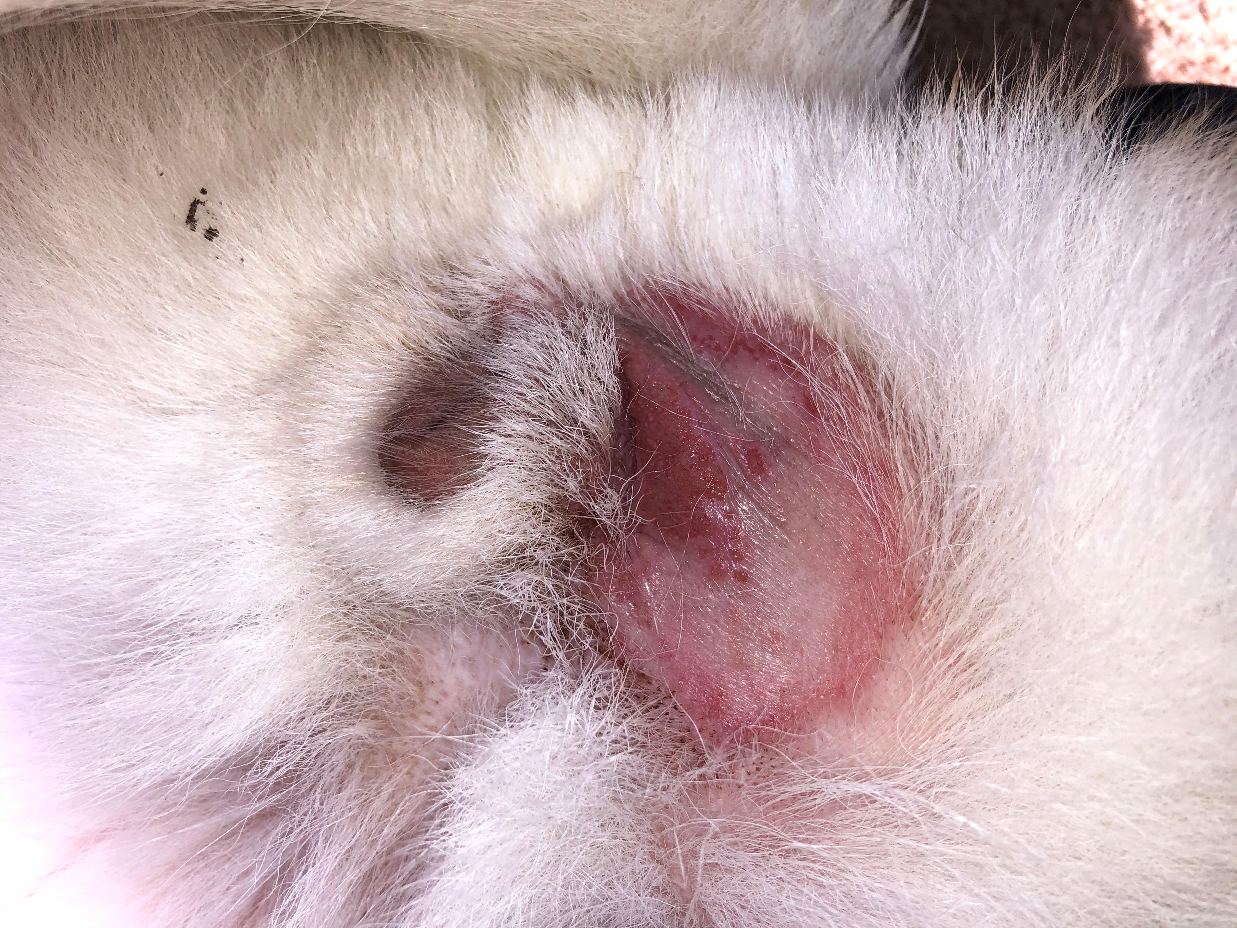 Question details sensitive content