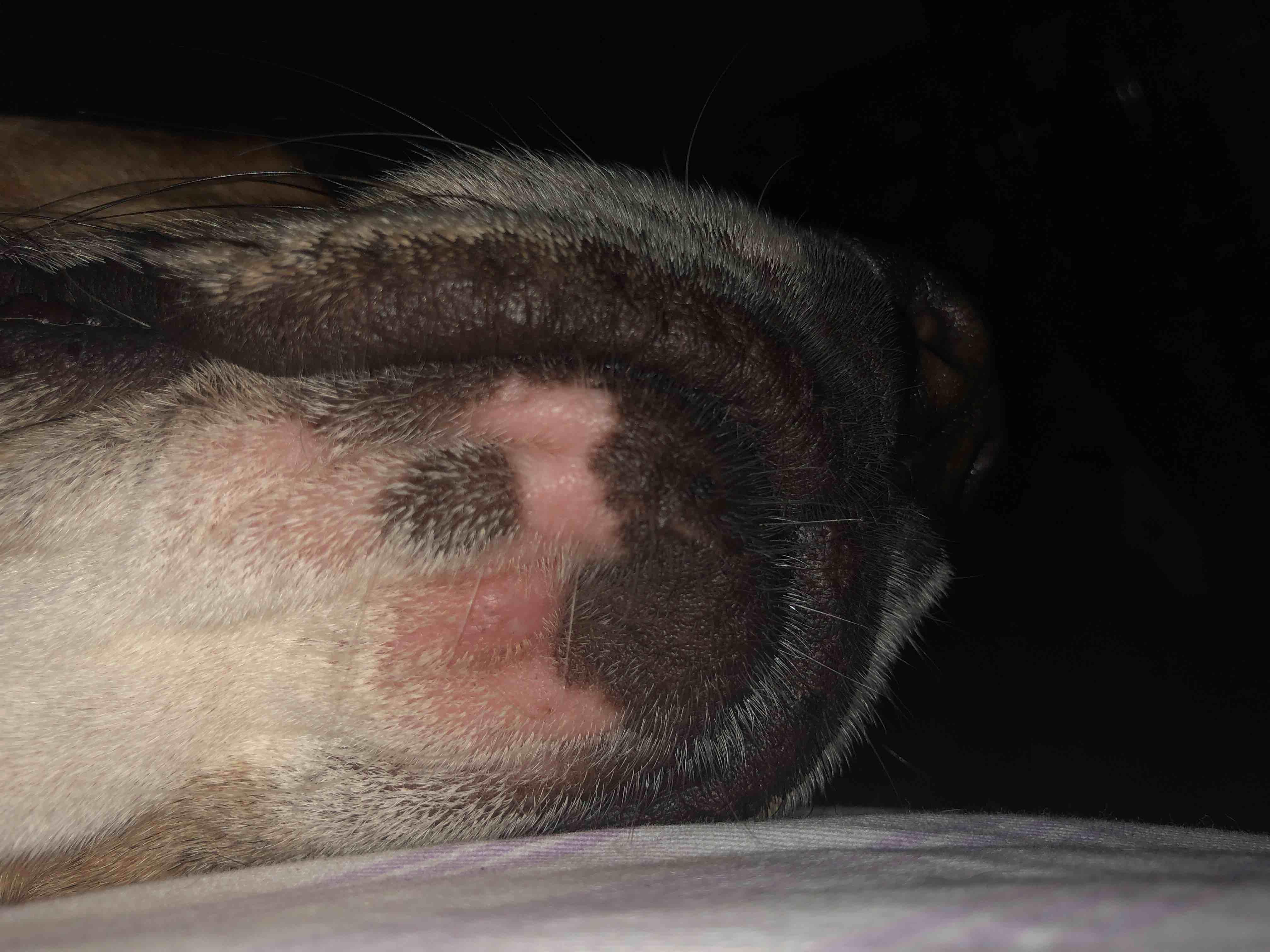 Question details sensitive content